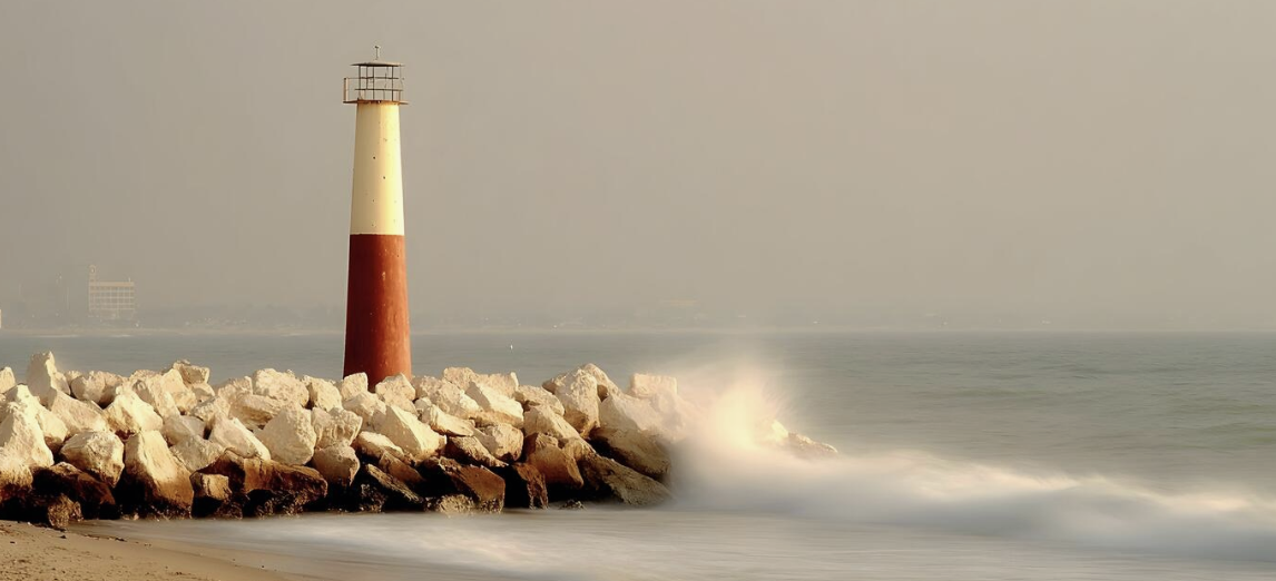 Earned Content & Paid Media