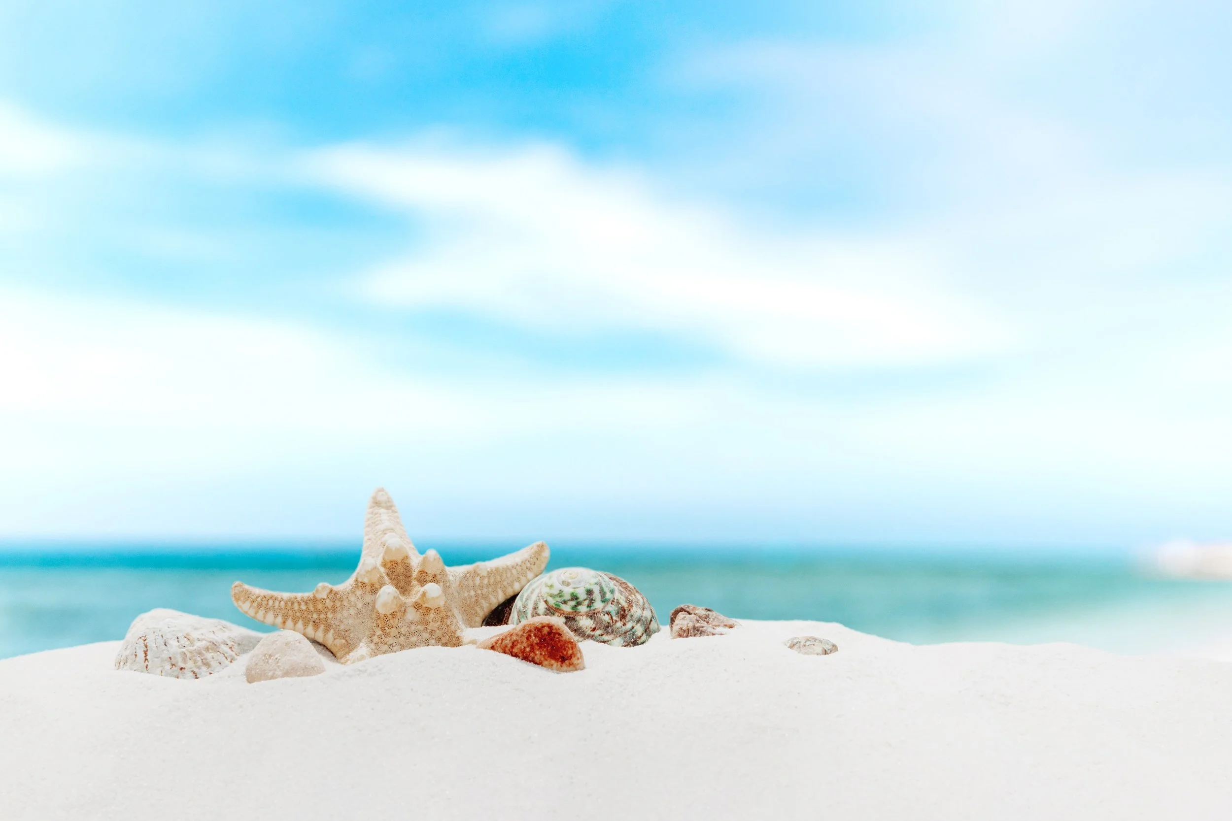 Employer Branding and Internal Communication