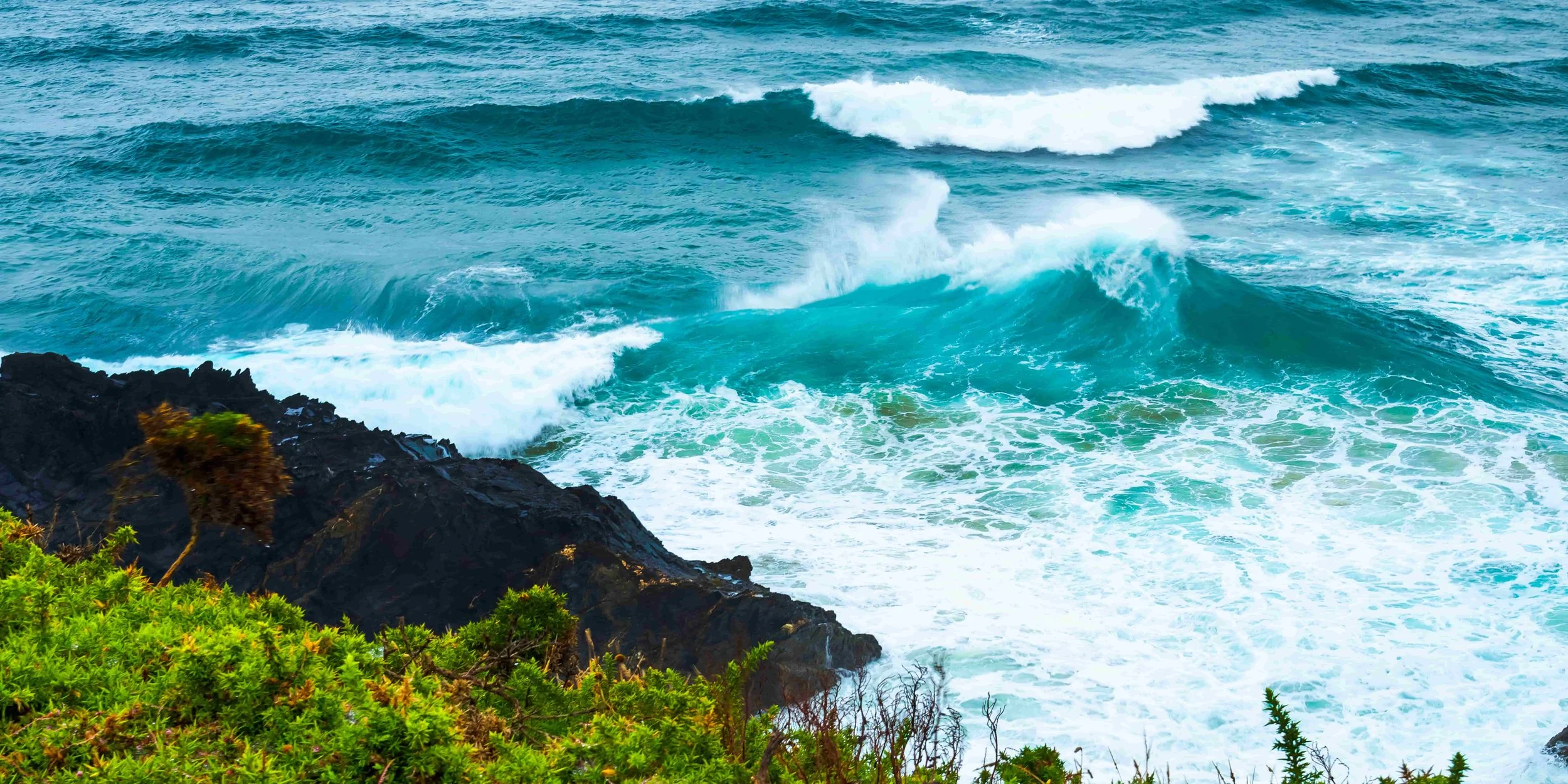 Database of all the key journalists