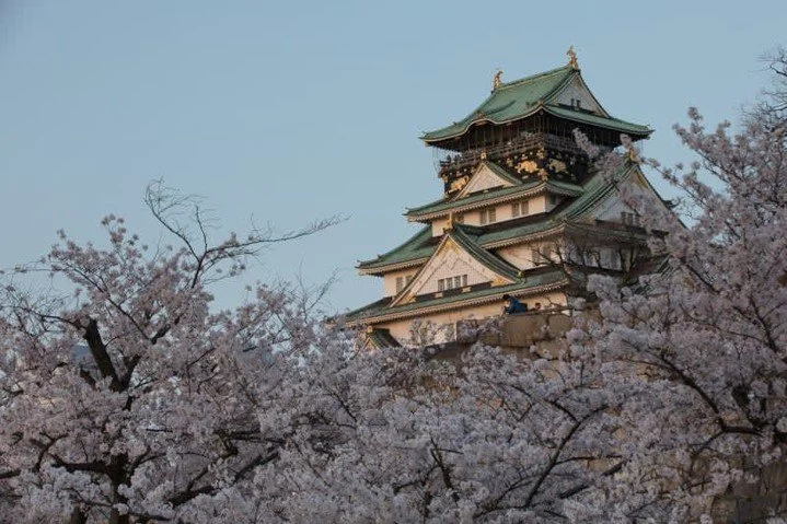 Immerse yourself in Japan's rich culture while exploring some of the most vibrant and contemporary cities on the planet! 🌸✨

Take in the stunning views of Mount Fuji, indulge in mouthwatering cuisine, and delve into the fascinating history of this i