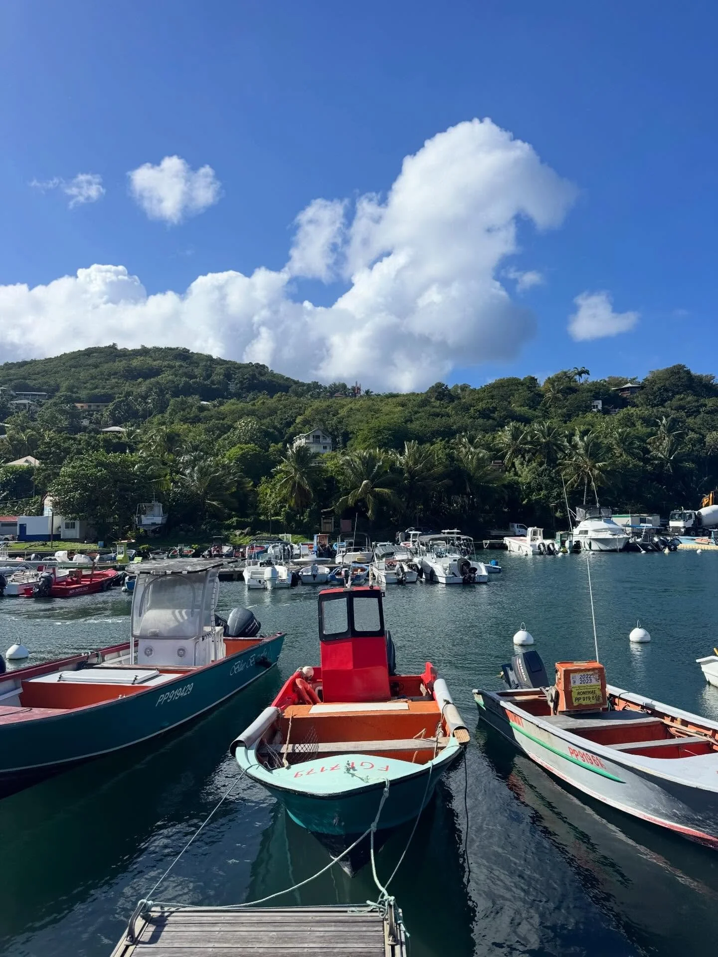 My favorite port during our @silversea cruise? Guadeloupe! It felt so green and lush and normal. Need to find an excuse to get back to this beautiful island. #guadeloupe #silverseasilverray