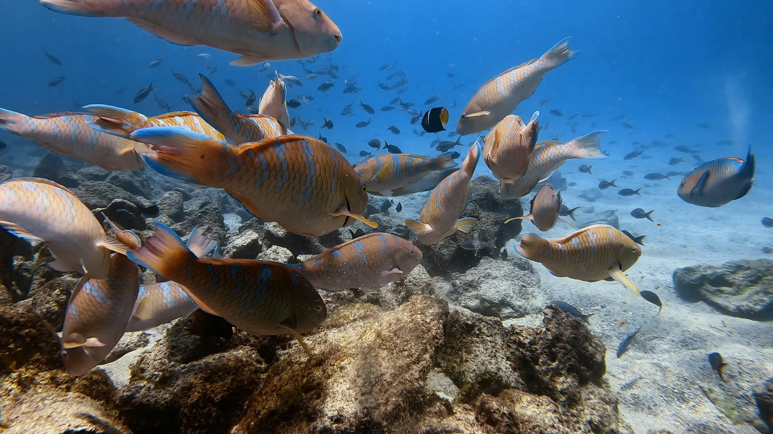 What to Pack for a Galápagos Cruise