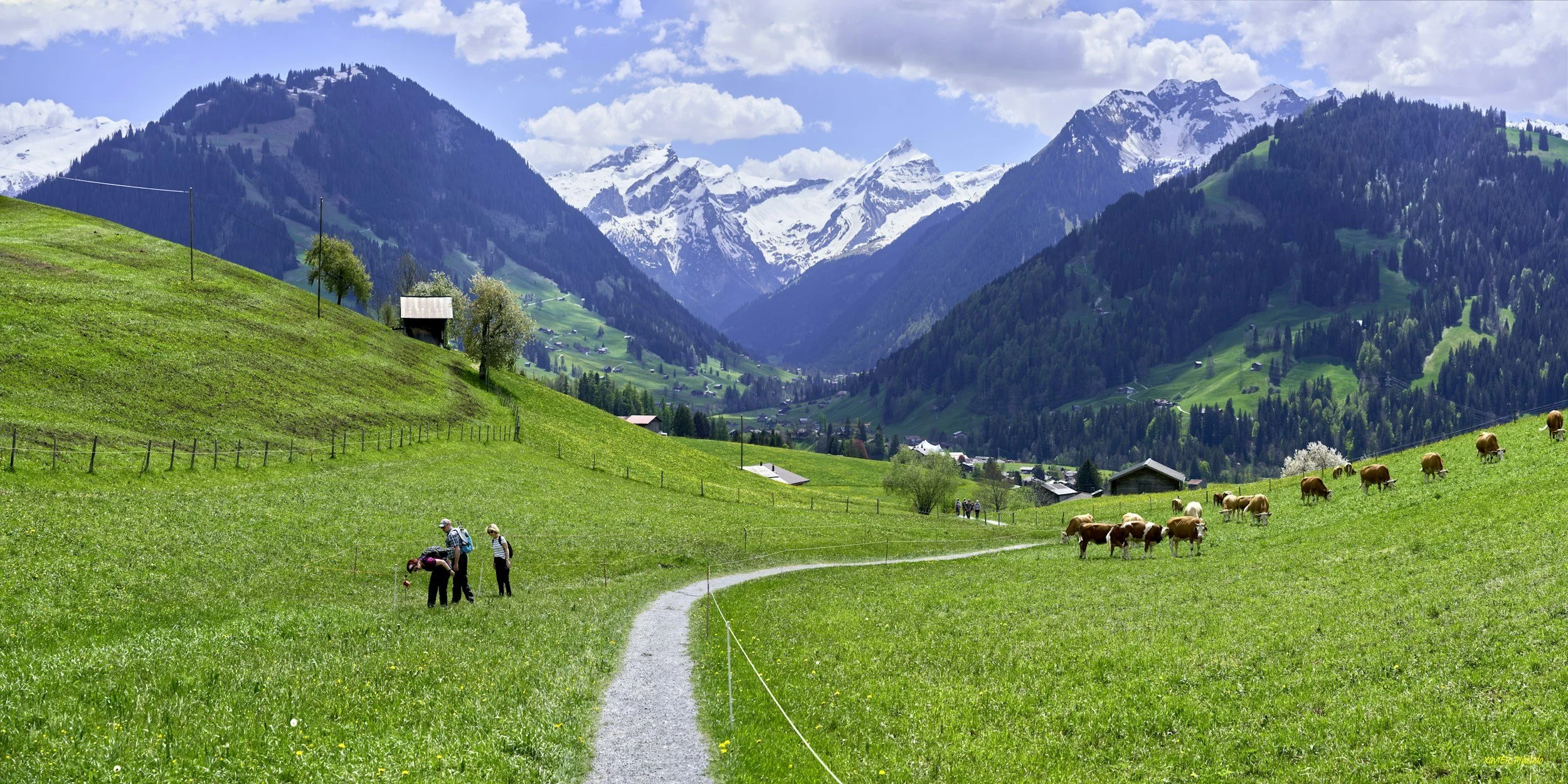Active Vacations, Done the Luxury Way