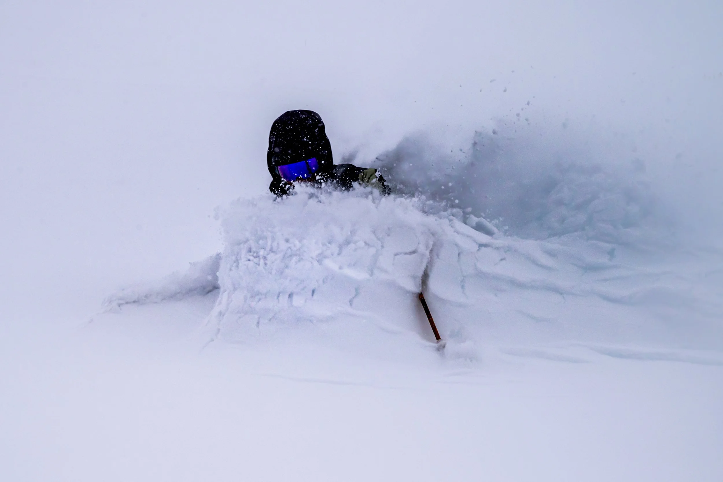 Liberty Bowl Fenceline