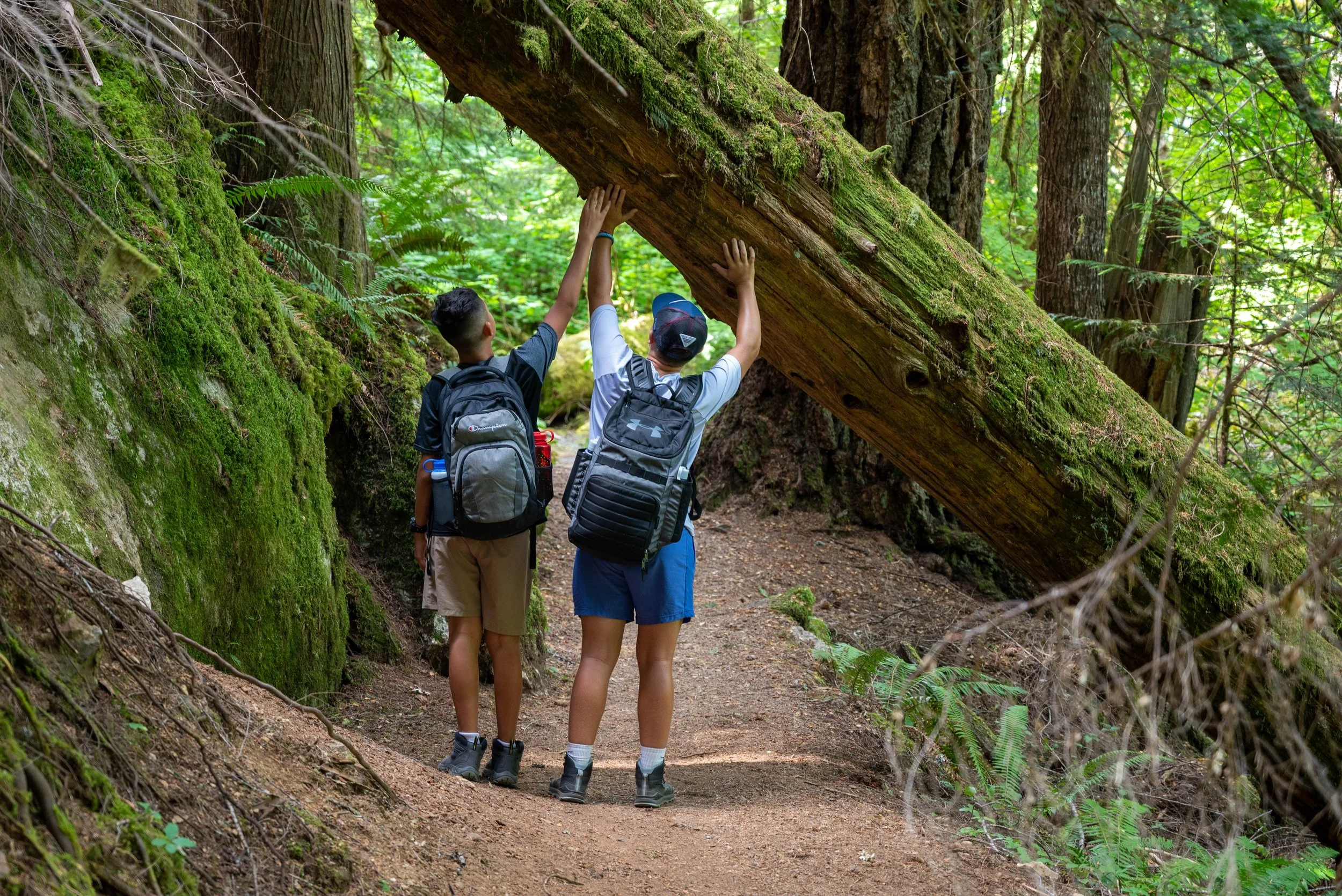 Curious Students - Washington