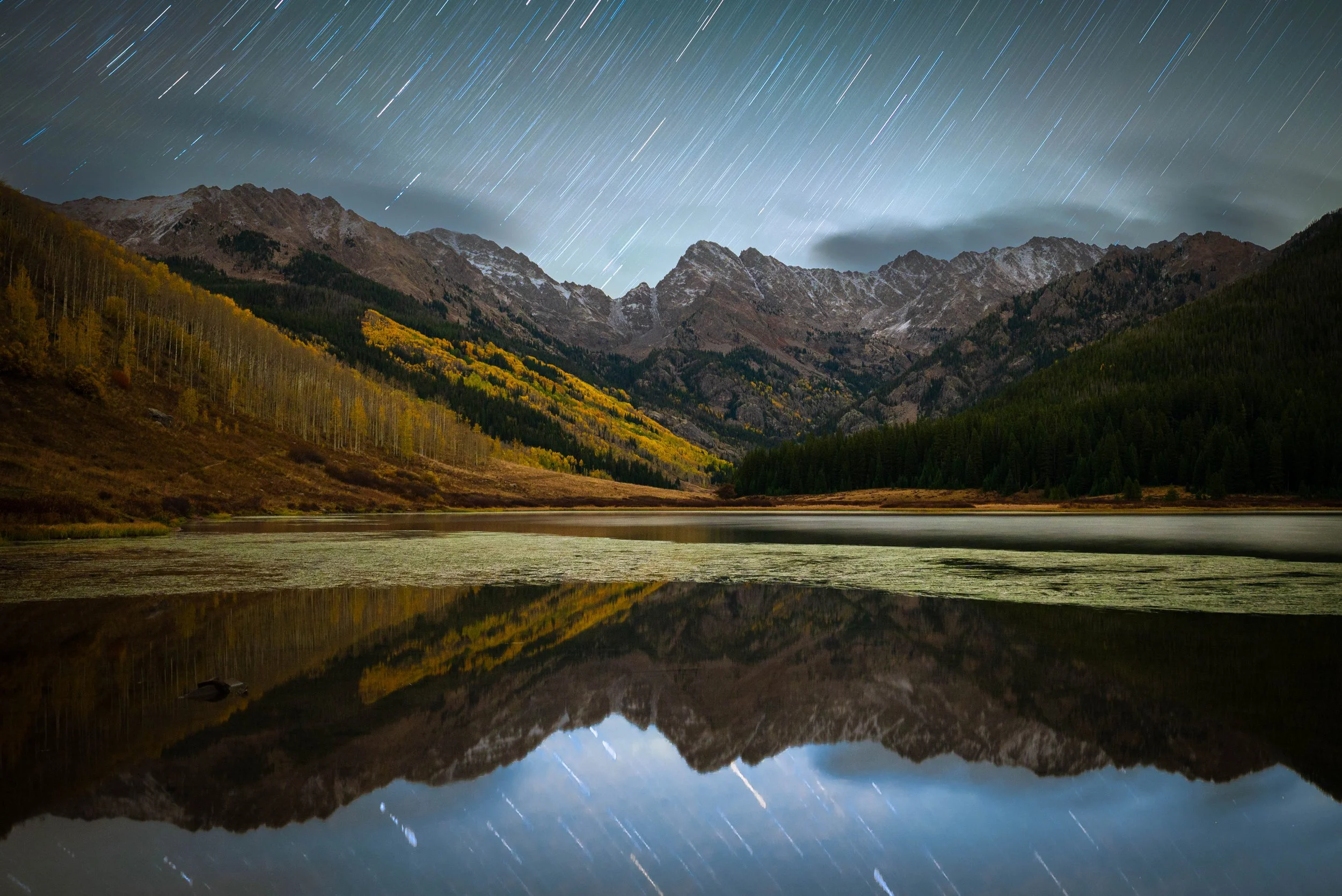 Fall Foliage Under Colorado Skies