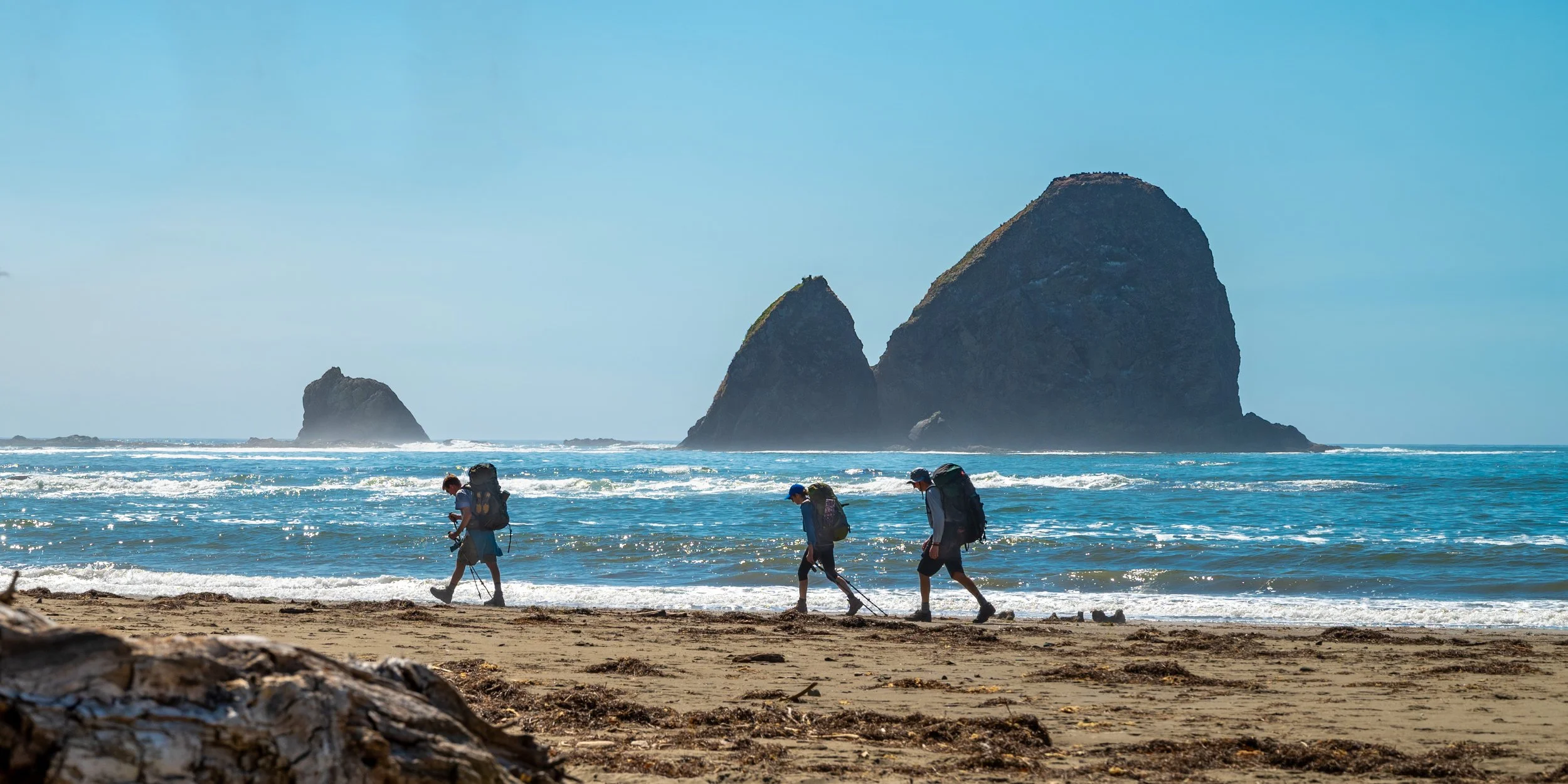 When Life Mimicks the Landscape on the Olympic Coast - Washington
