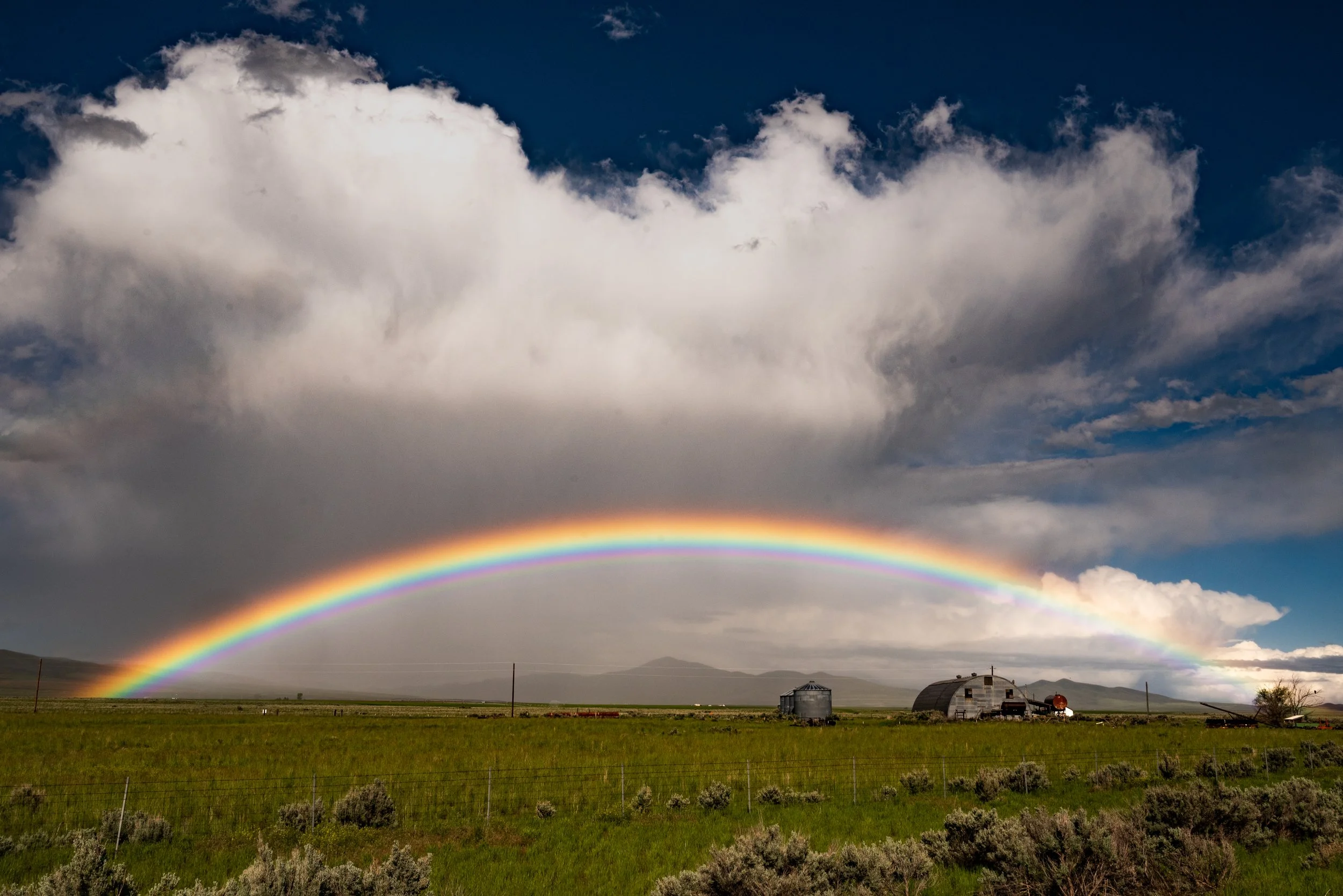 Potatoland Rainbow - Idaho