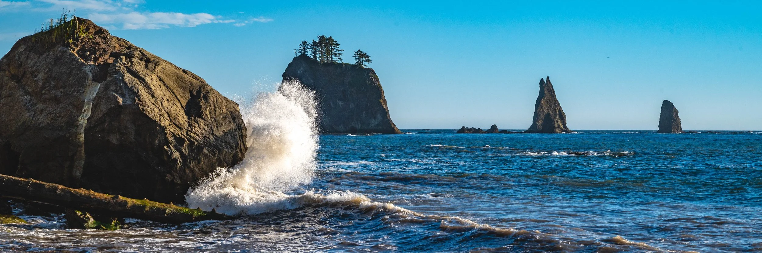 Crash - Olympic Coast, Washington