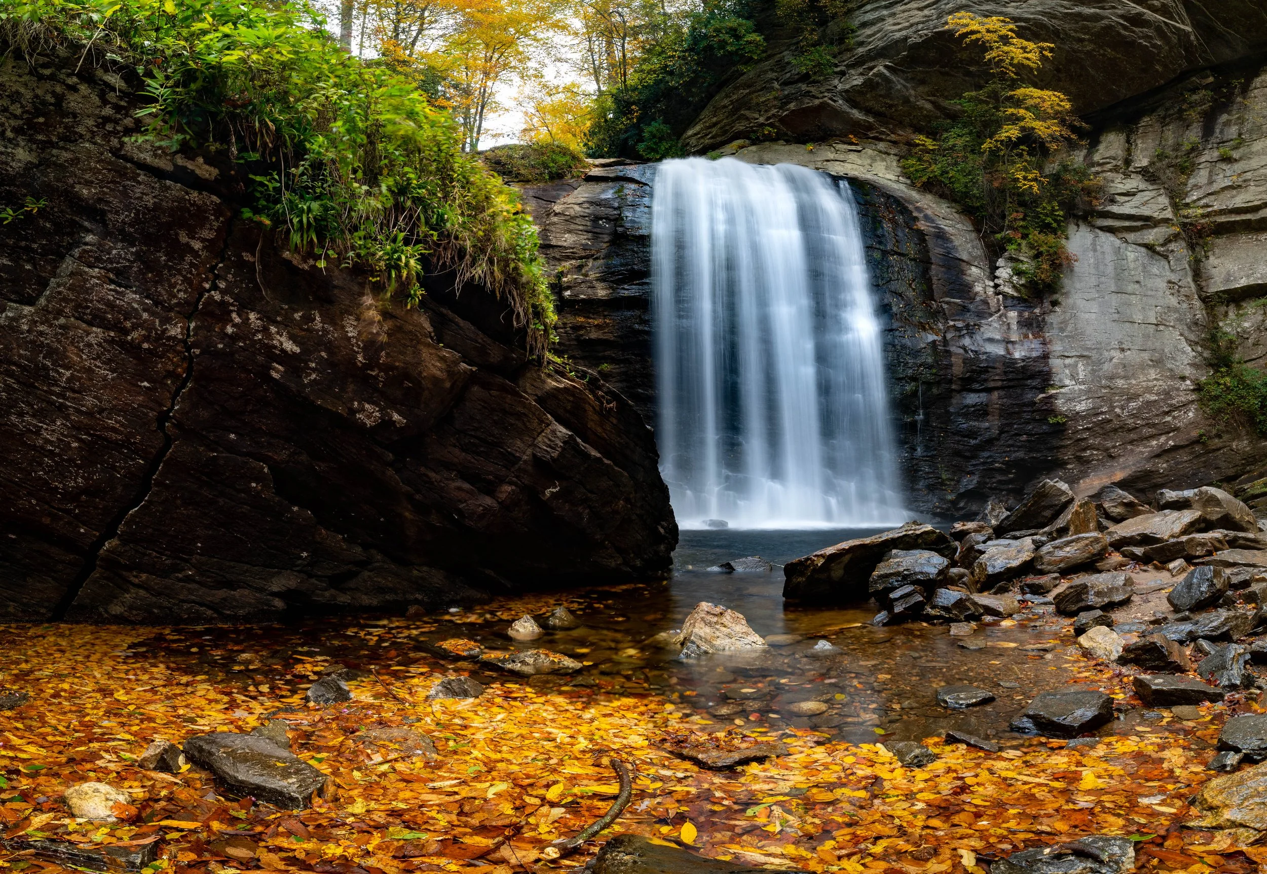 Looking Glass Falls - Pisgah National Forest - NC