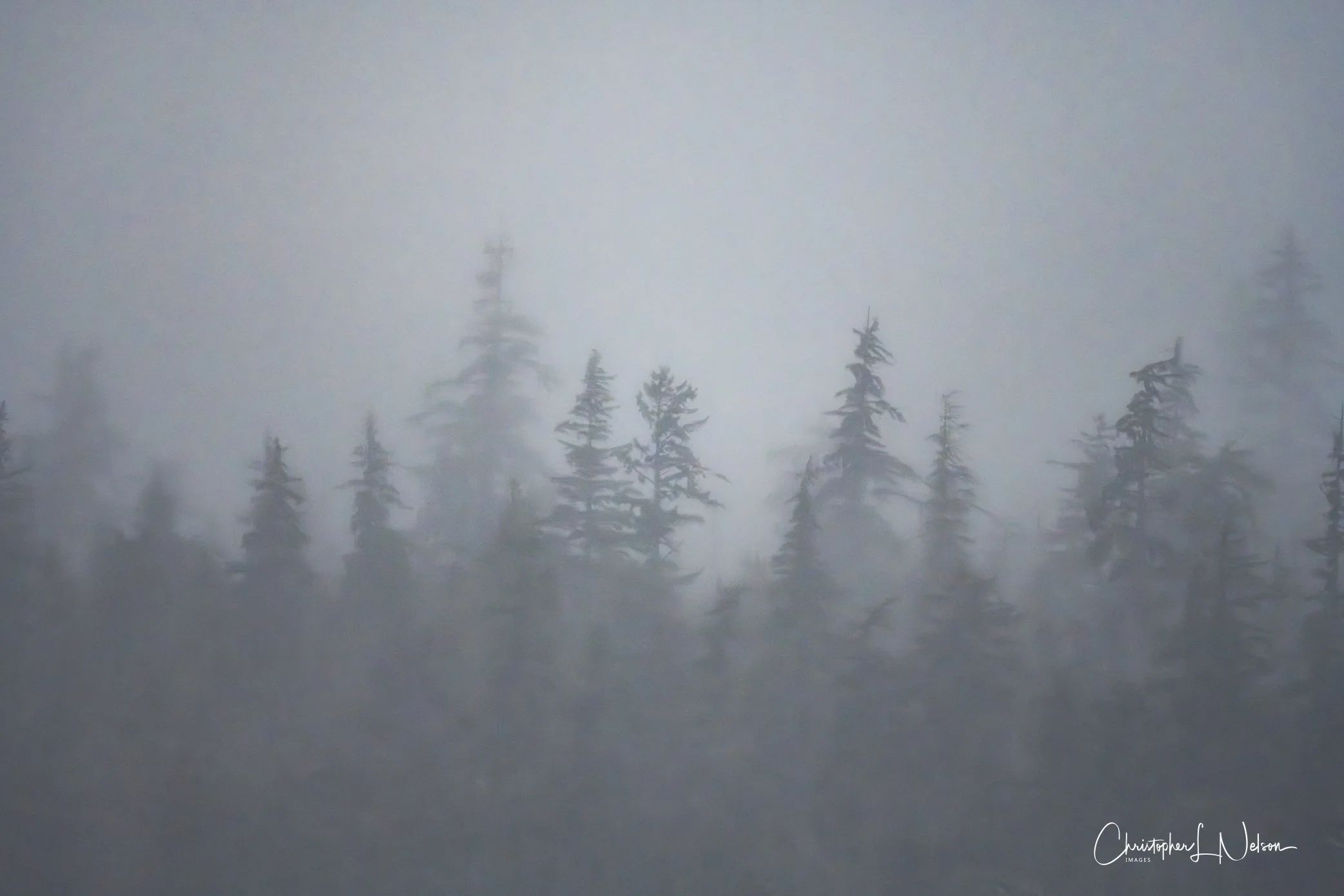DSC_1488-Enhanced-NR-2.jpg