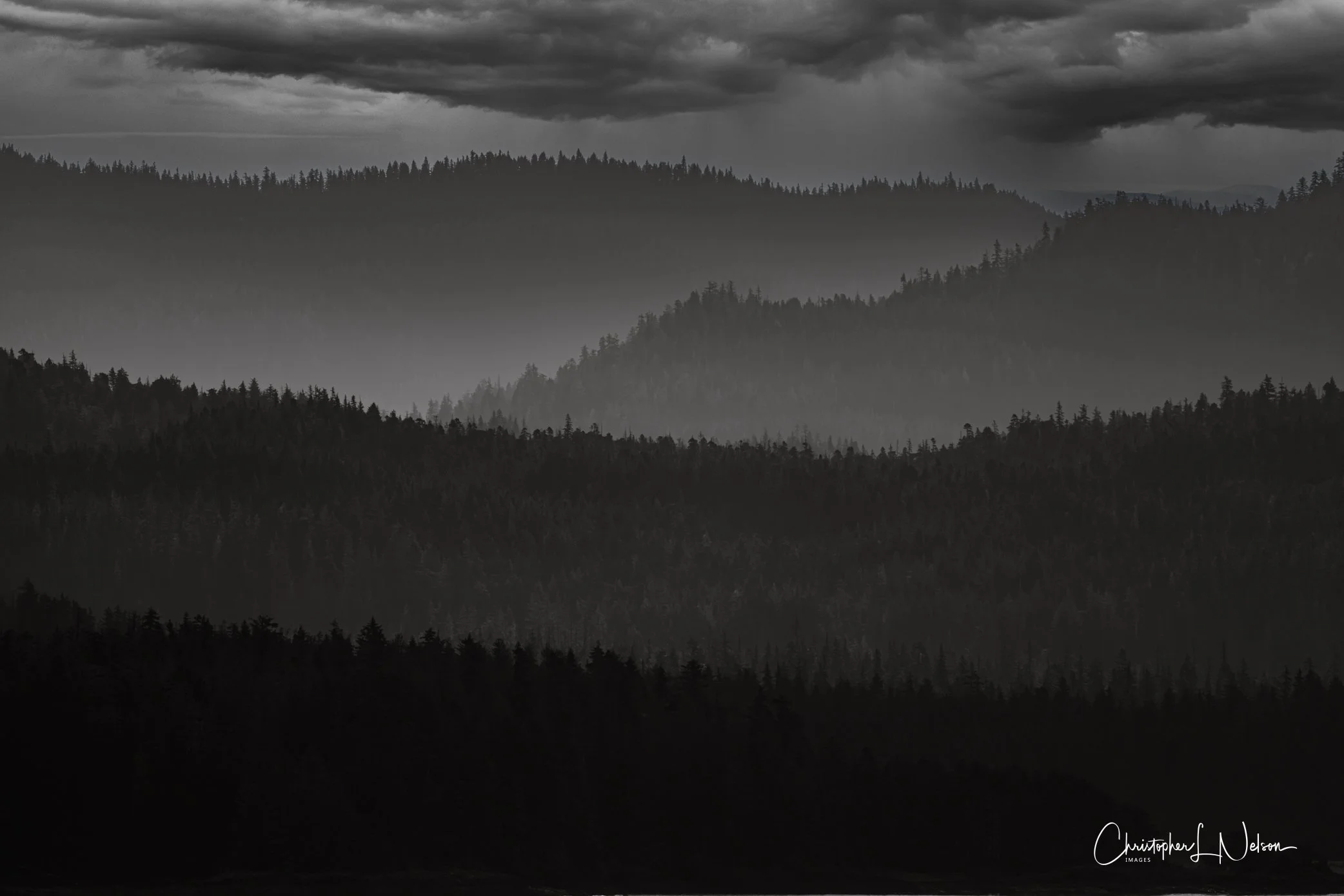 DSC_1144-Enhanced-NR-Edit.jpg