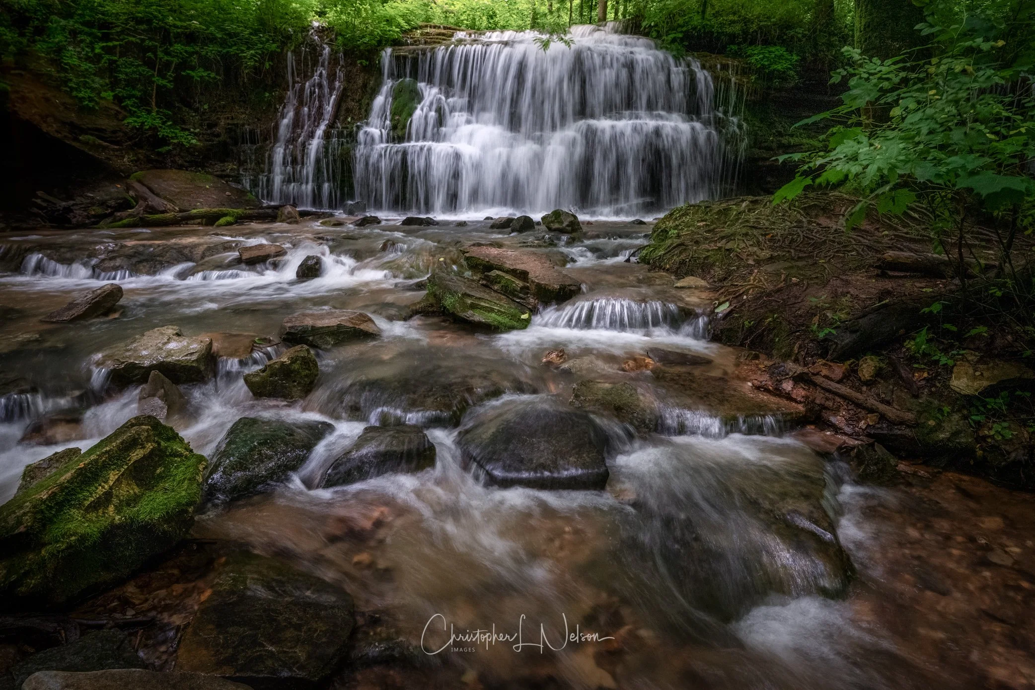 DSC_3530-Edit-2.jpg