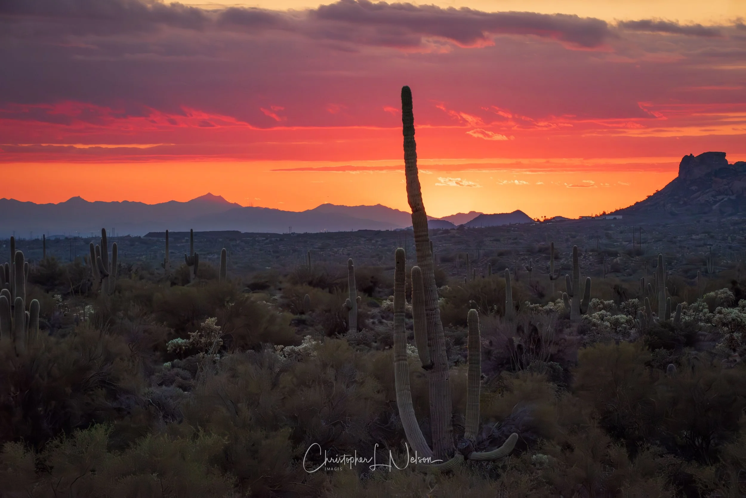 Sonoran Desert at Sunset, Apache Junction, AZ. 2