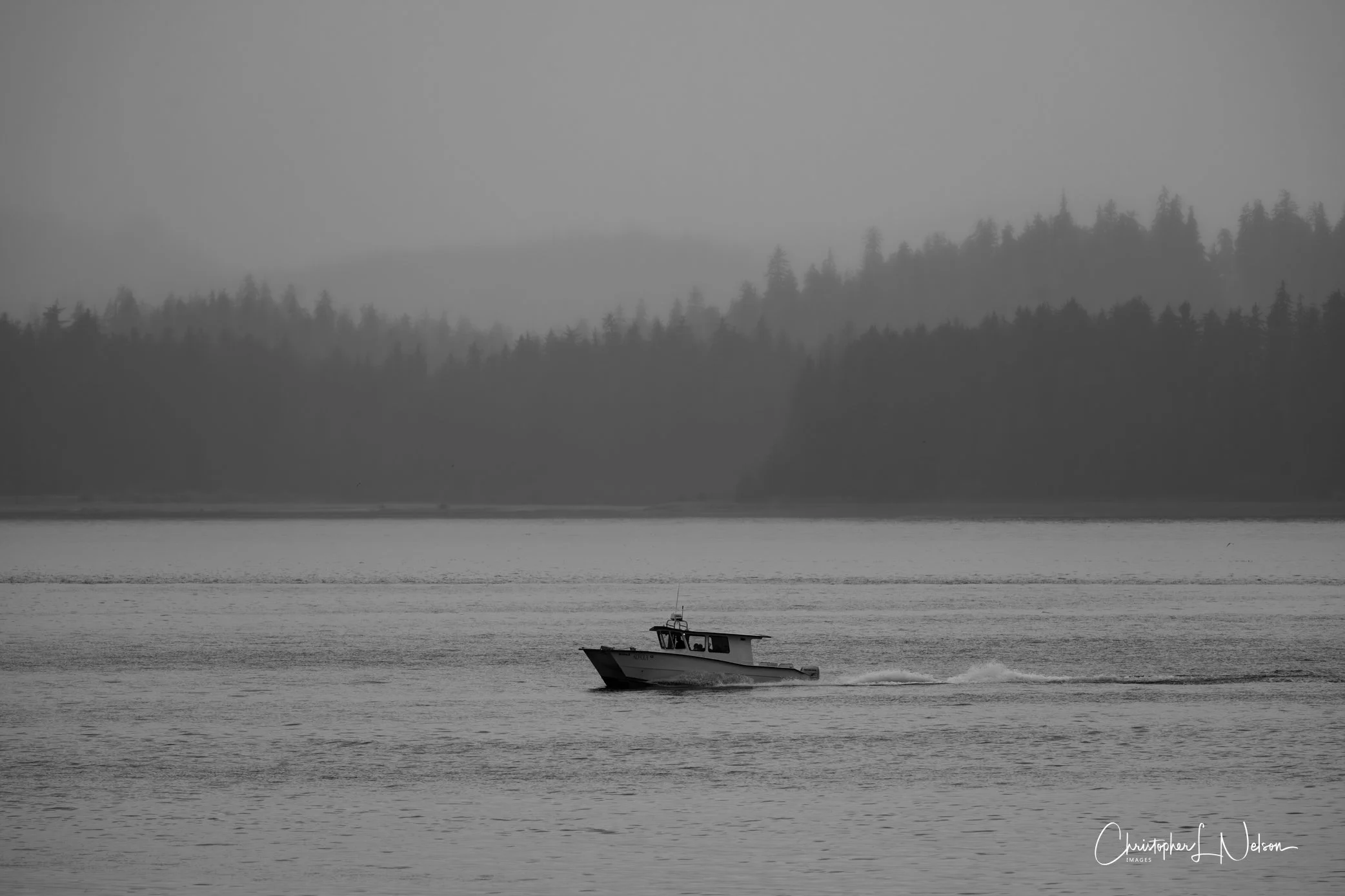 DSC_1283-Enhanced-NR.jpg