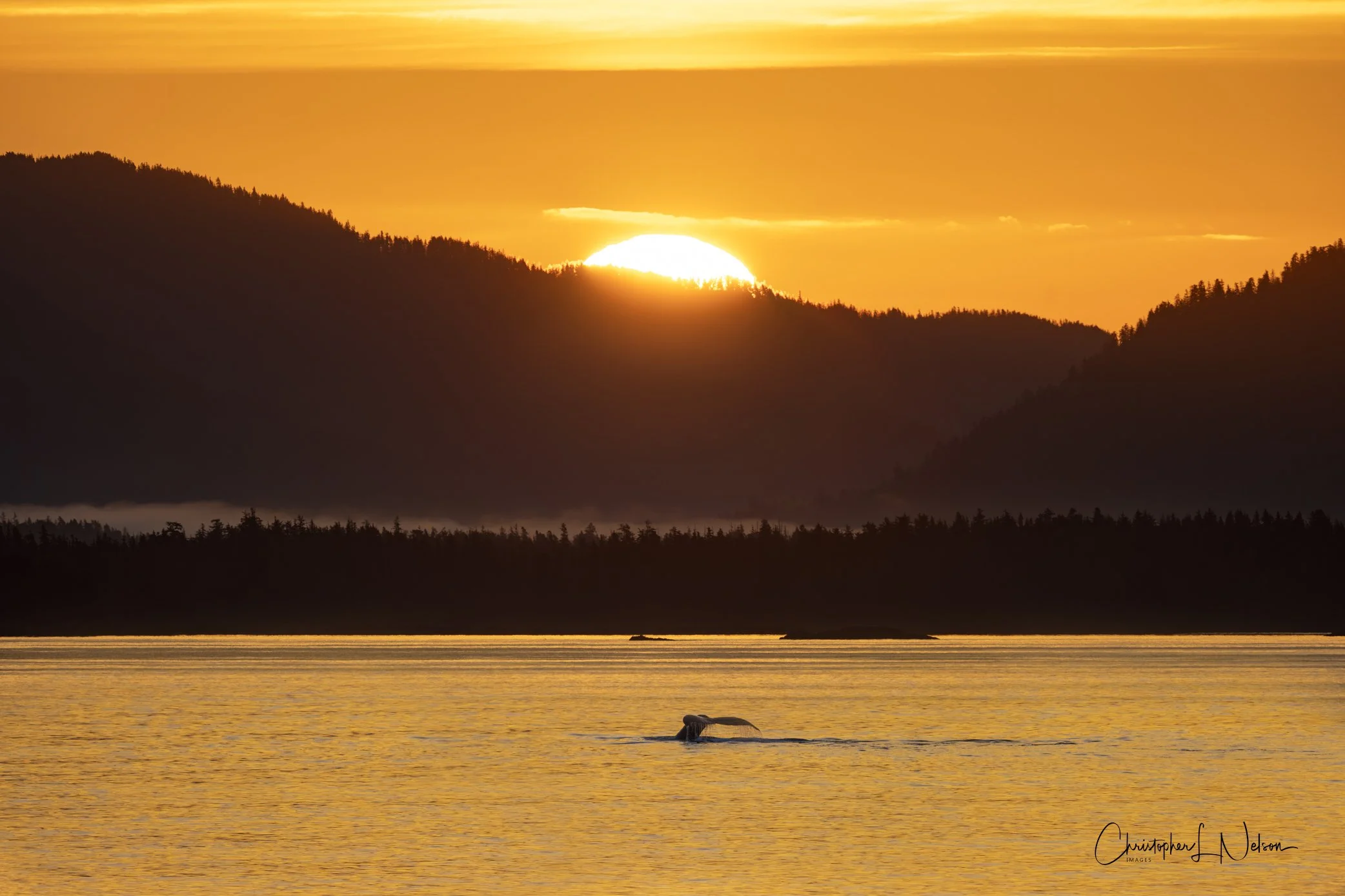 DSC_1093-Enhanced-NR-Edit.jpg