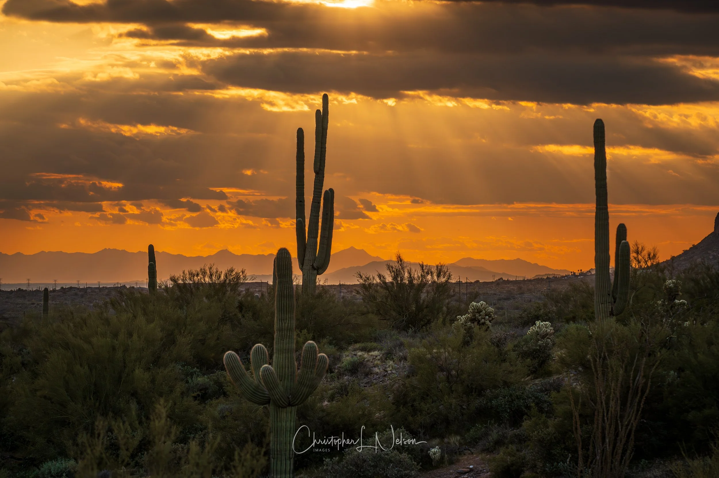 Sonoran Desert at Sunset, Apache Junction, AZ.