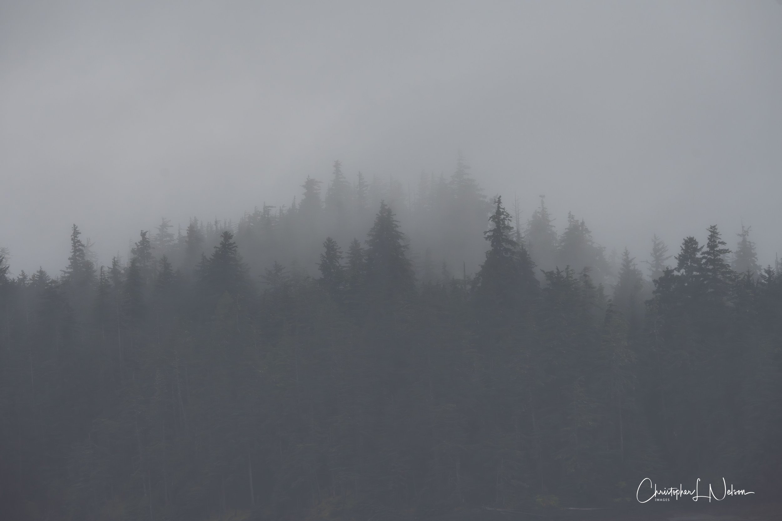 DSC_1493-Enhanced-NR.jpg