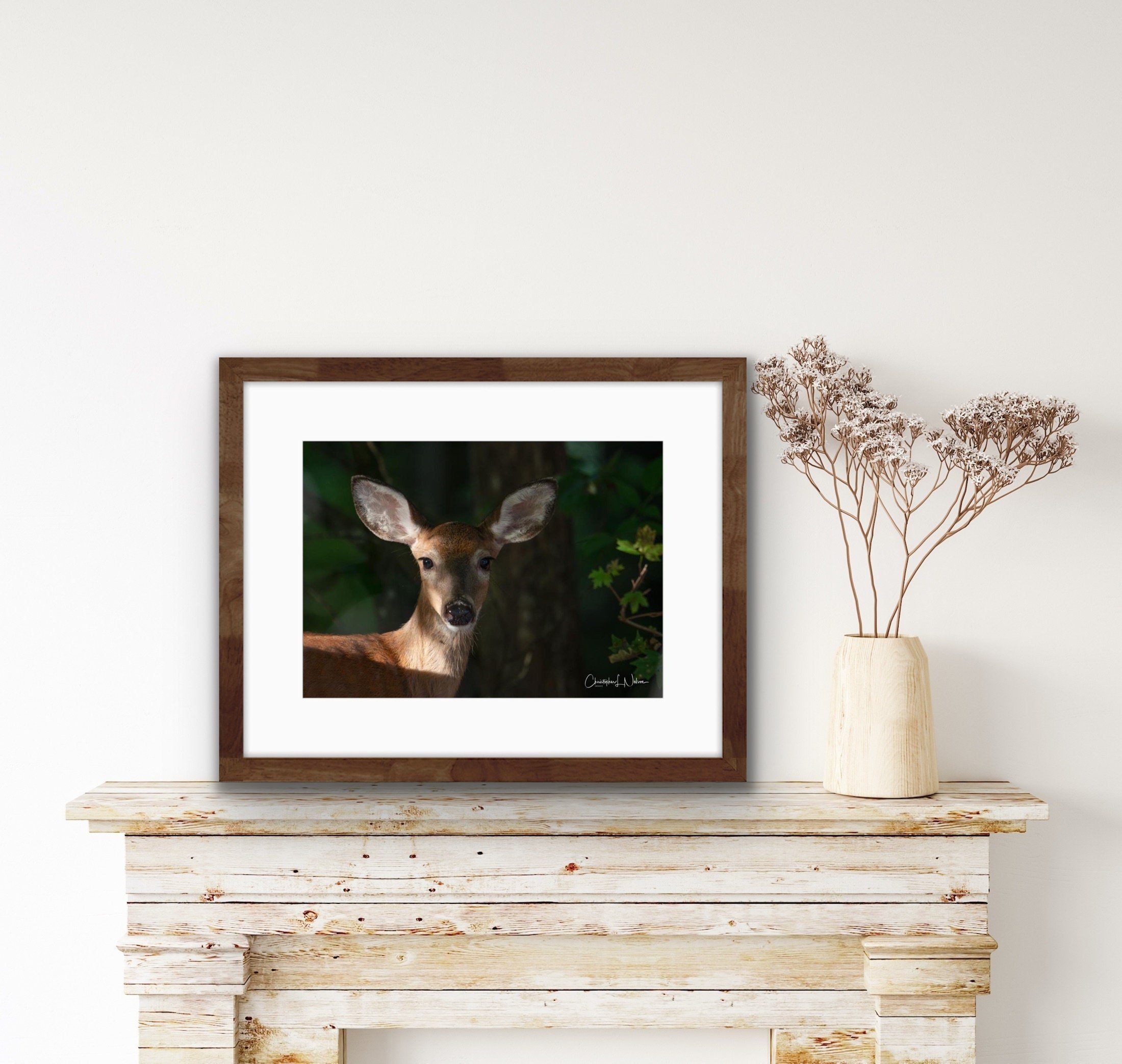 Framed photograph of a young deer with large ears, set on a rustic white wooden mantel with a simple beige vase containing dried flowers beside it.