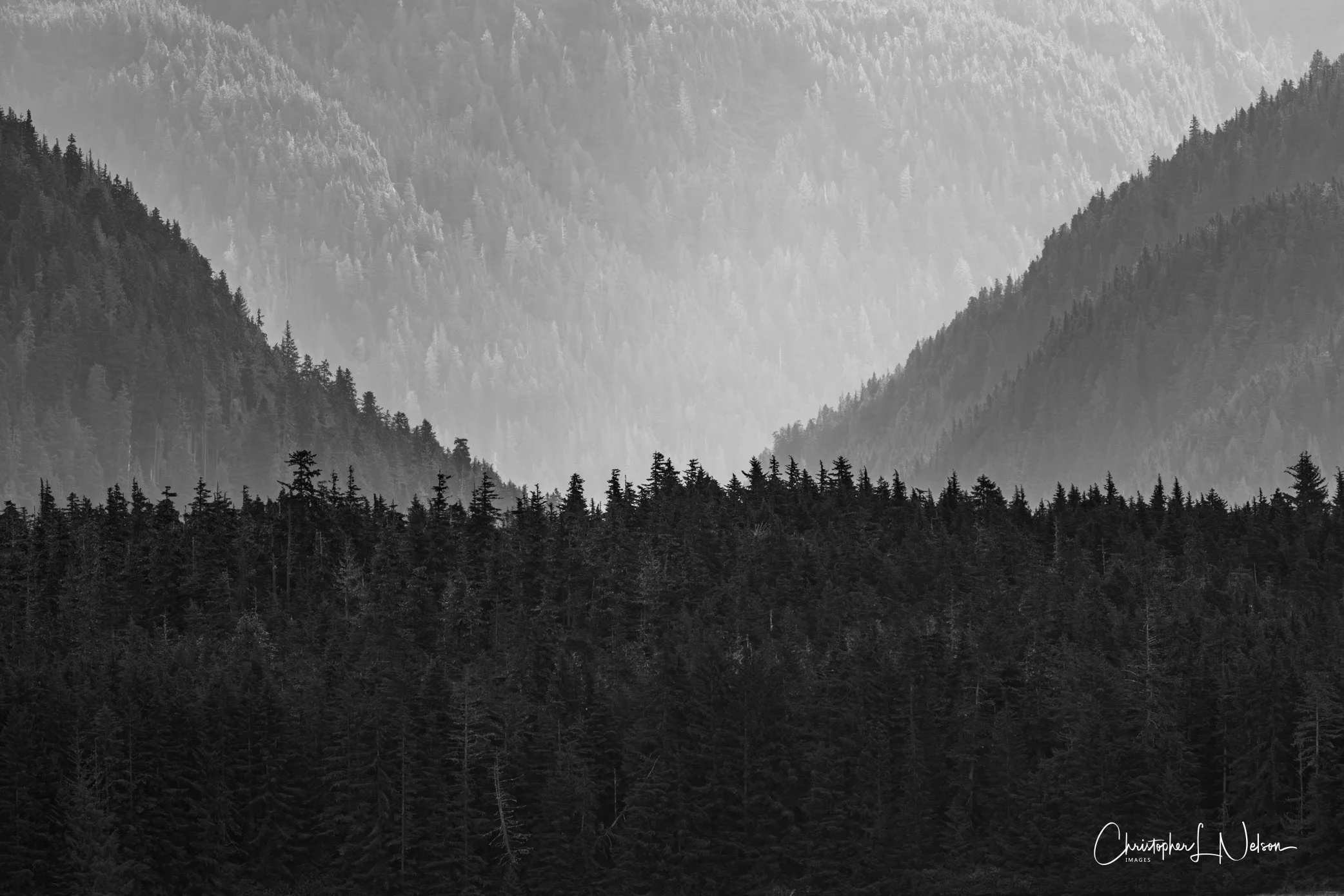 DSC_1147-Enhanced-NR.jpg
