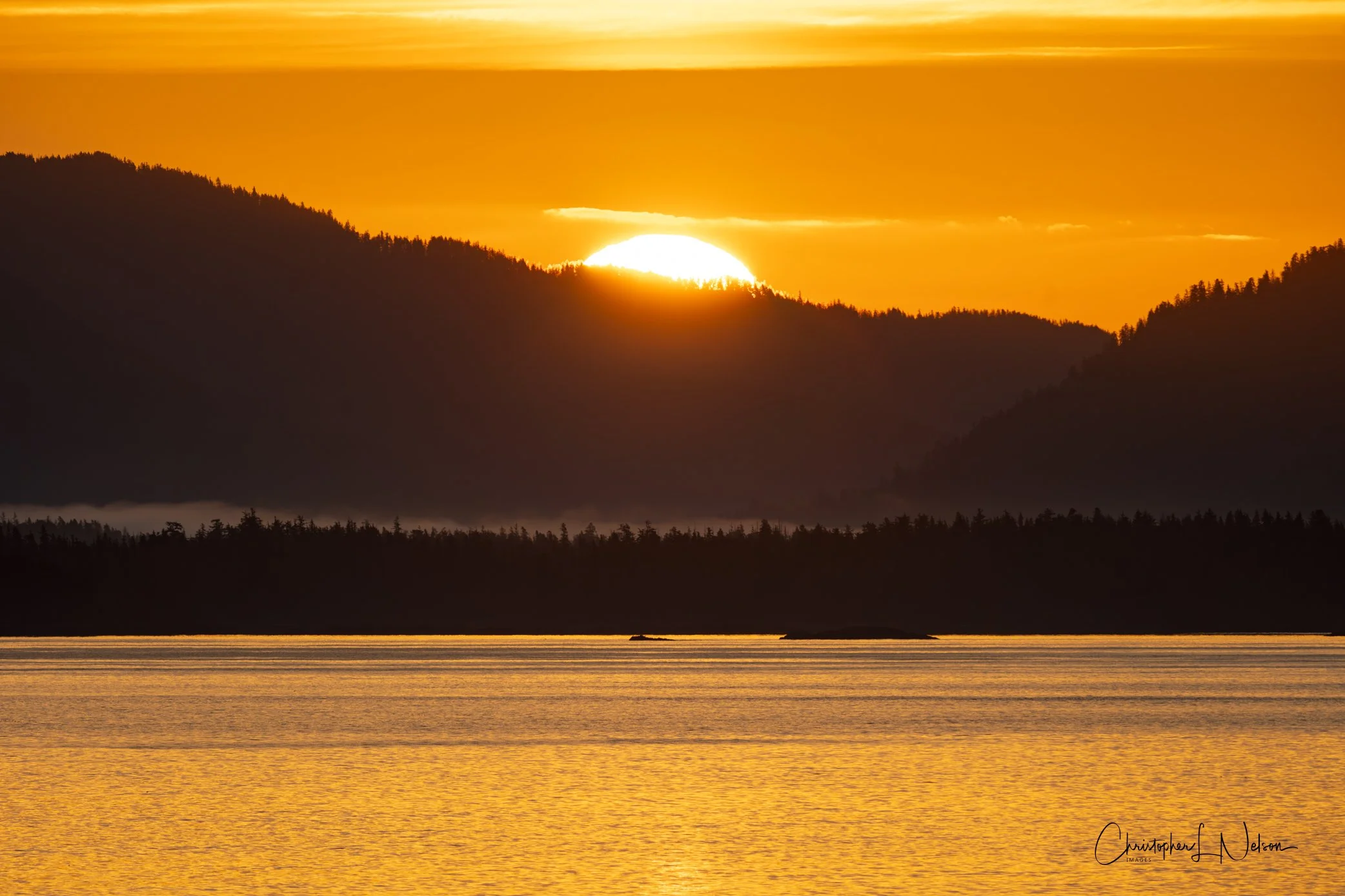 DSC_1093-Enhanced-NR.jpg