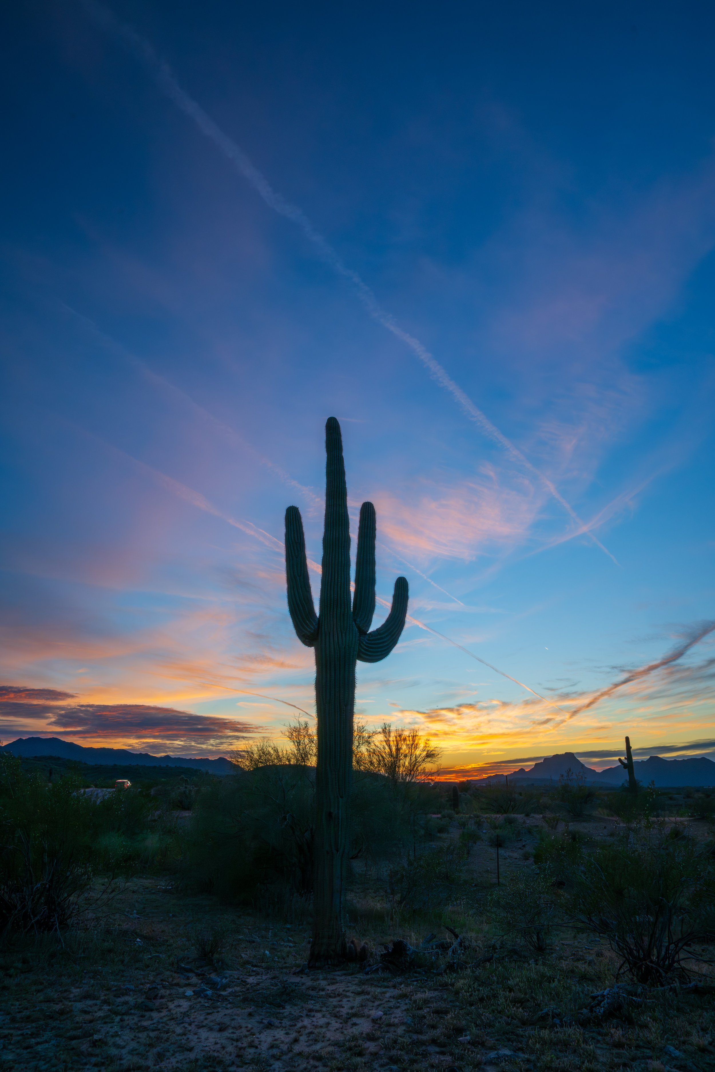 Saguaro Cactus Sunset, Tonto National Forest, AZ. 2