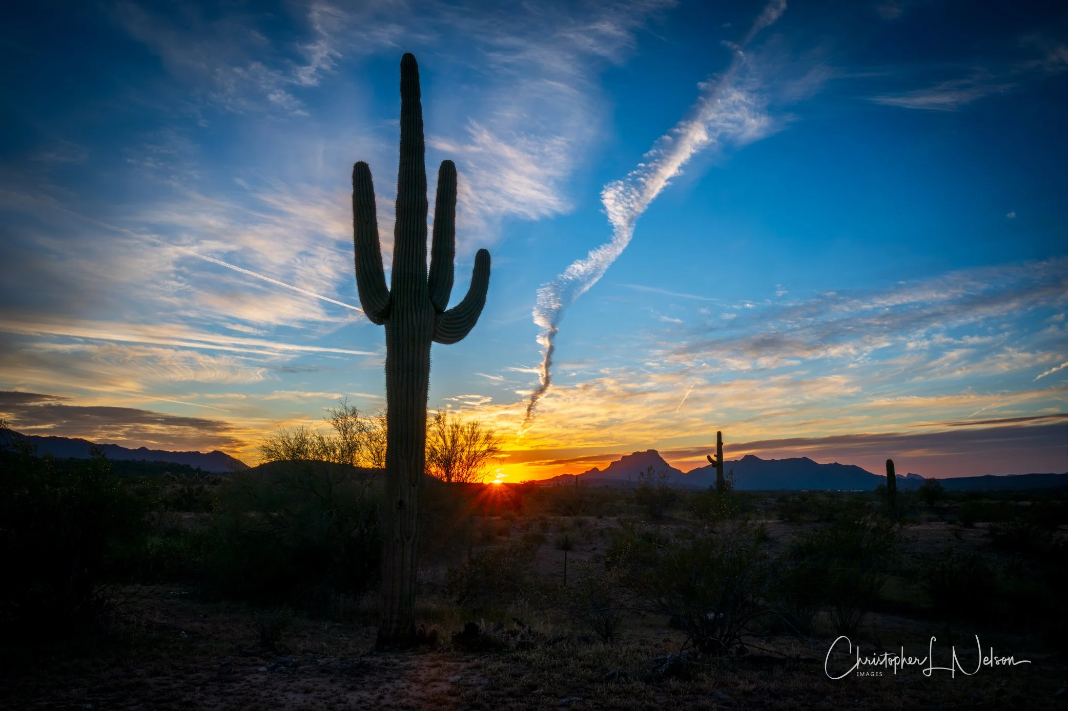 Saguaro Cactus Sunset, Tonto National Forest, AZ.