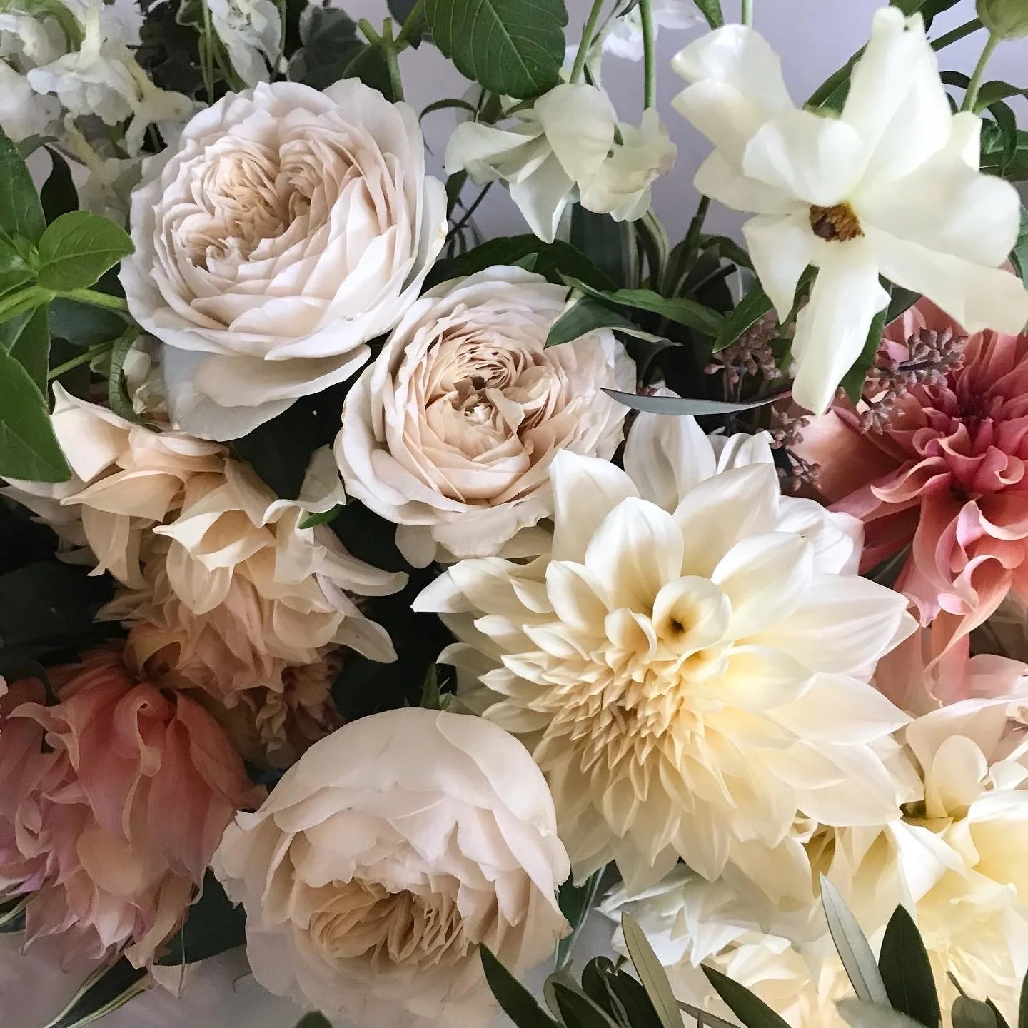 Dahlias and garden roses in blush and cream