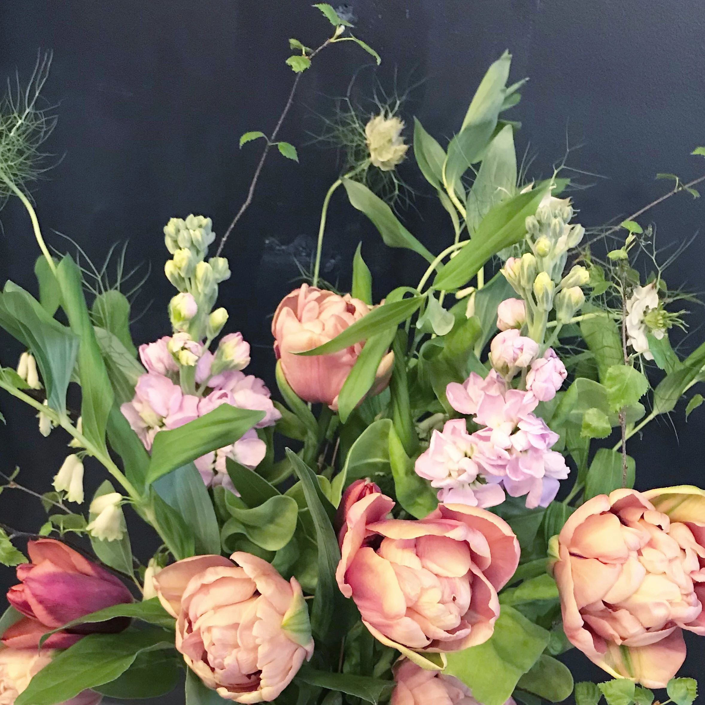 Belle Époque tulips