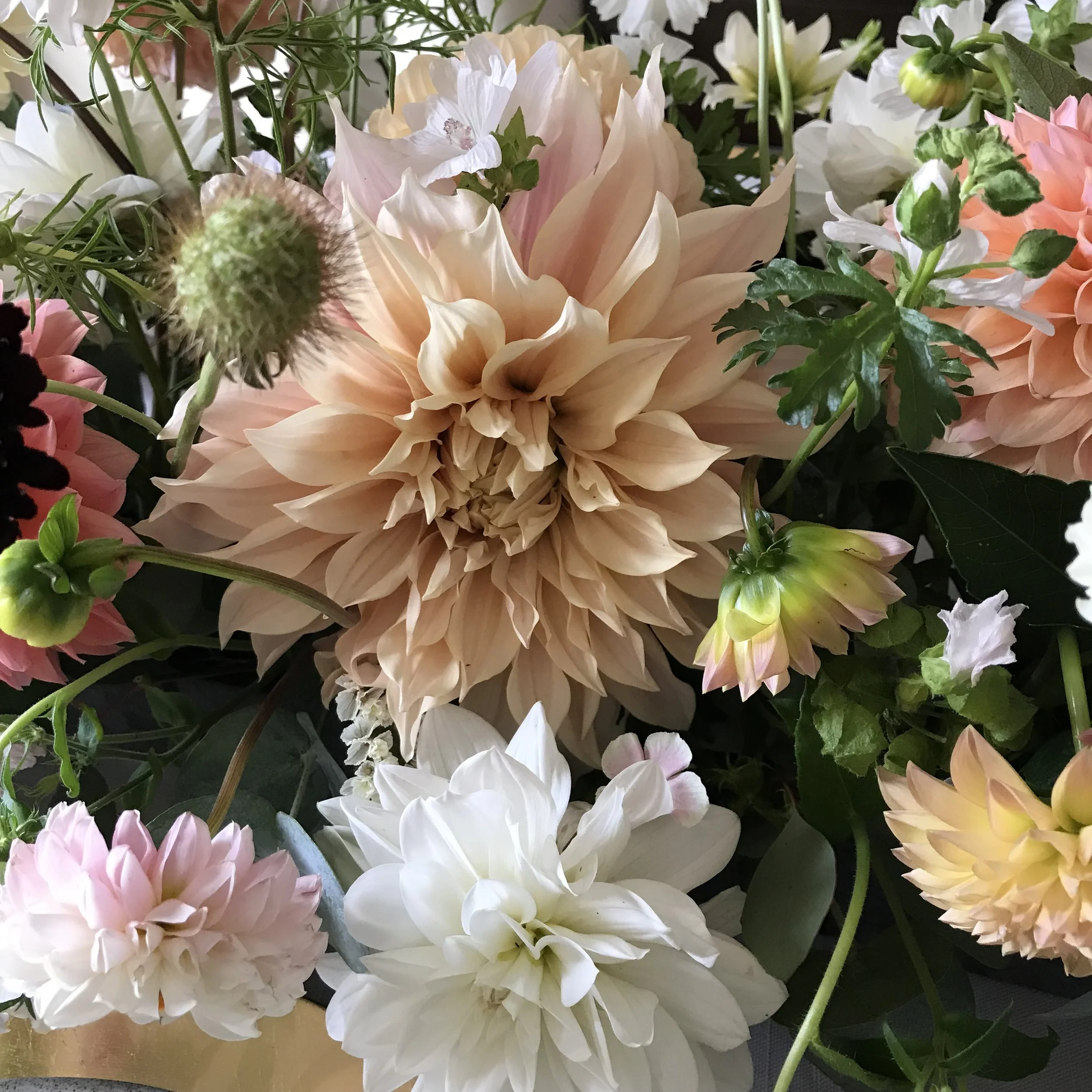Dahlia bouquet
