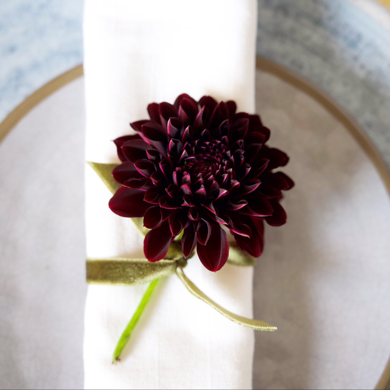 Dark purple dahlia on white napkin