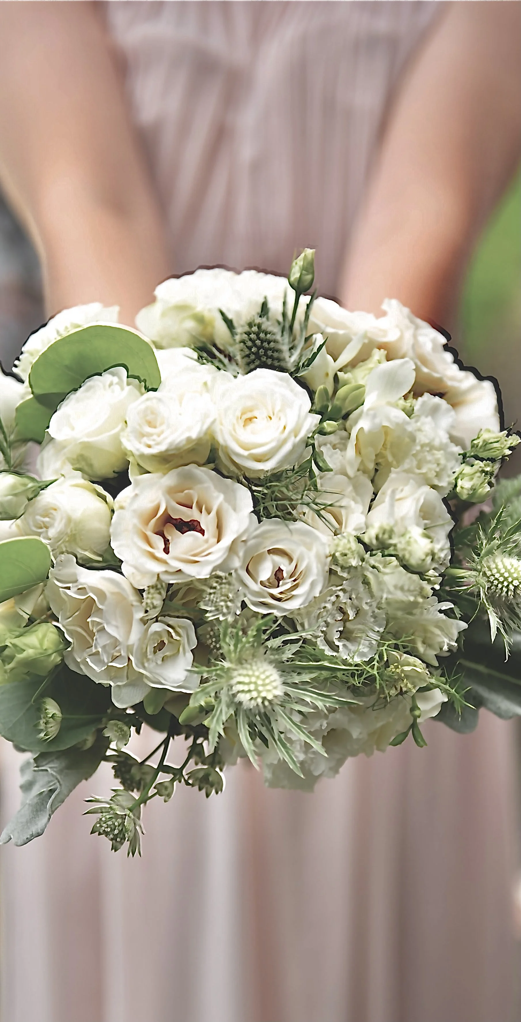 Creamy white roses bridesmaid’s posy