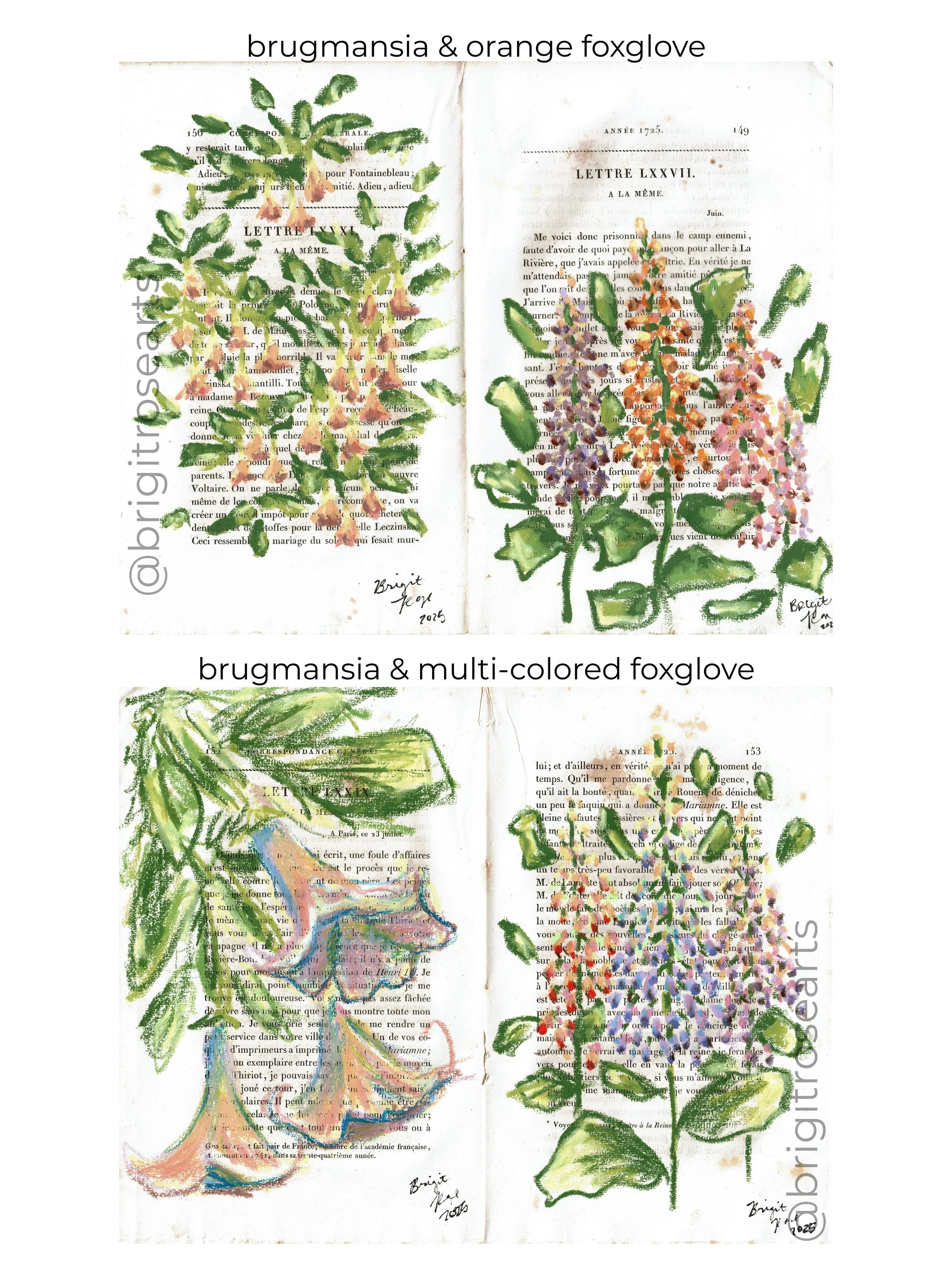 Neutral Grey Modern Photo Ideas For Home Poster - 3.jpeg