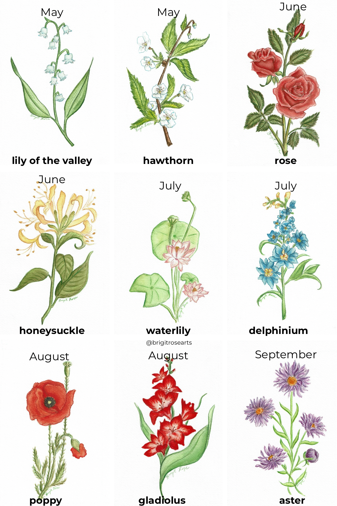 Beige Grey Minimalist Aesthetic Inspiration Moodboard Photo Collage - 2.png