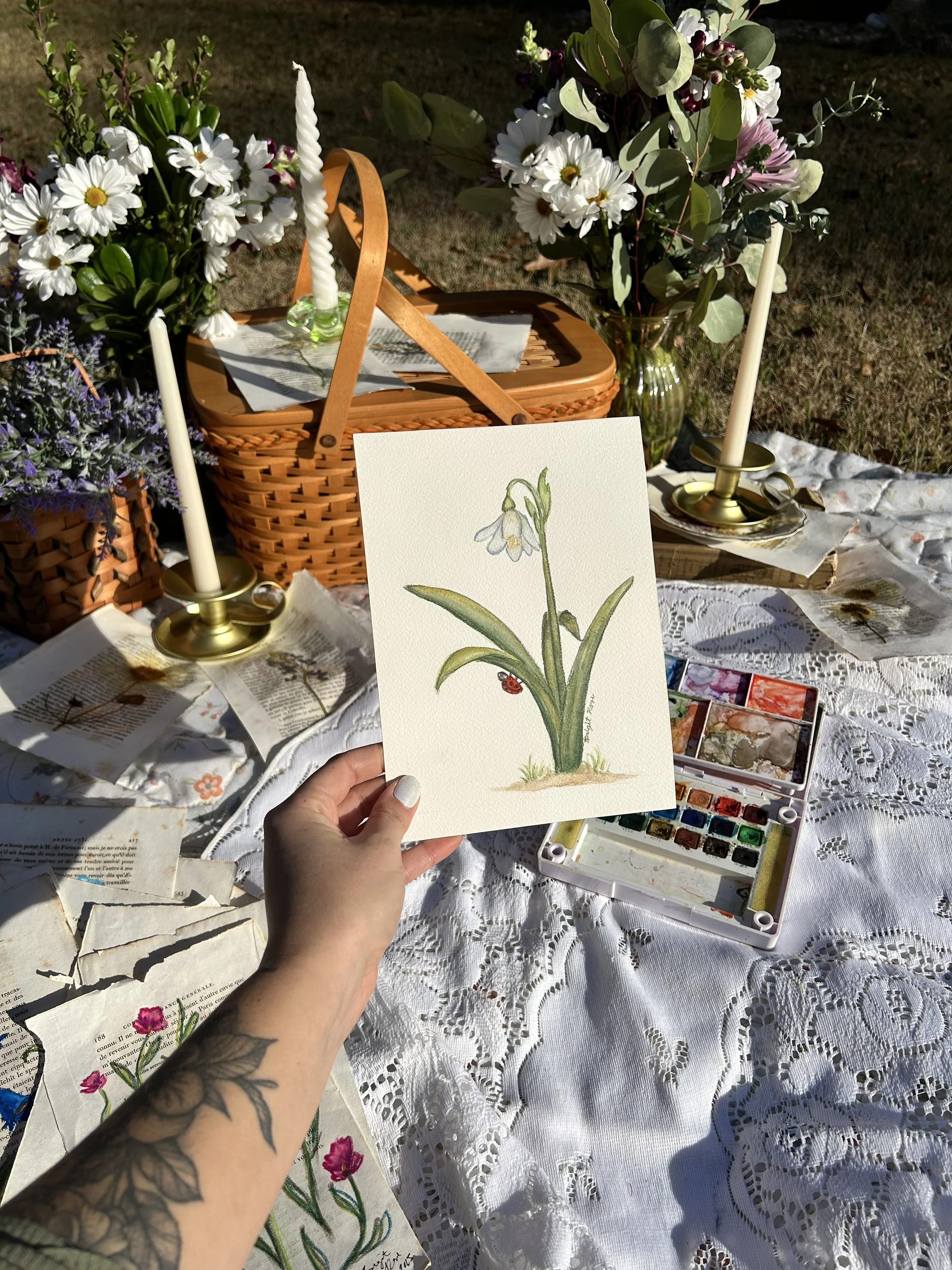 snowdrop_w__watercolors_hold.jpg