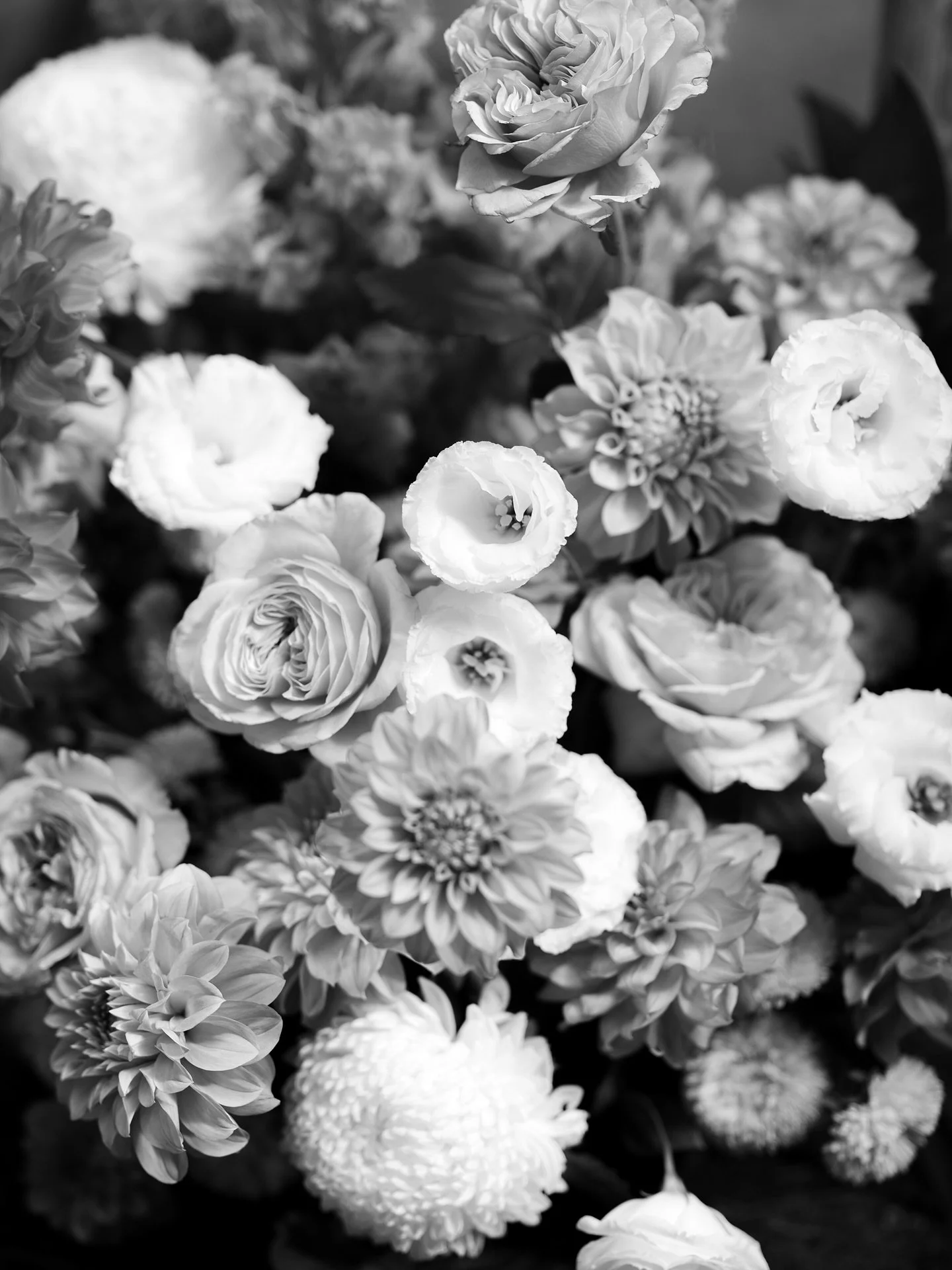 Bright &amp; colourful.