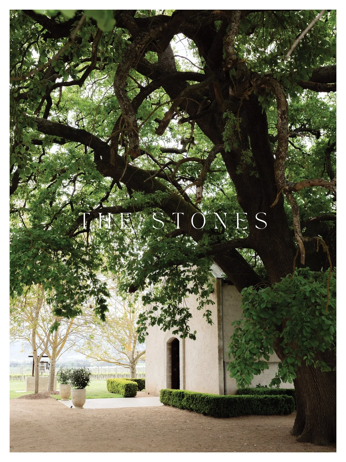 A lovely visit to the ever picturesque @stonesoftheyarravalley