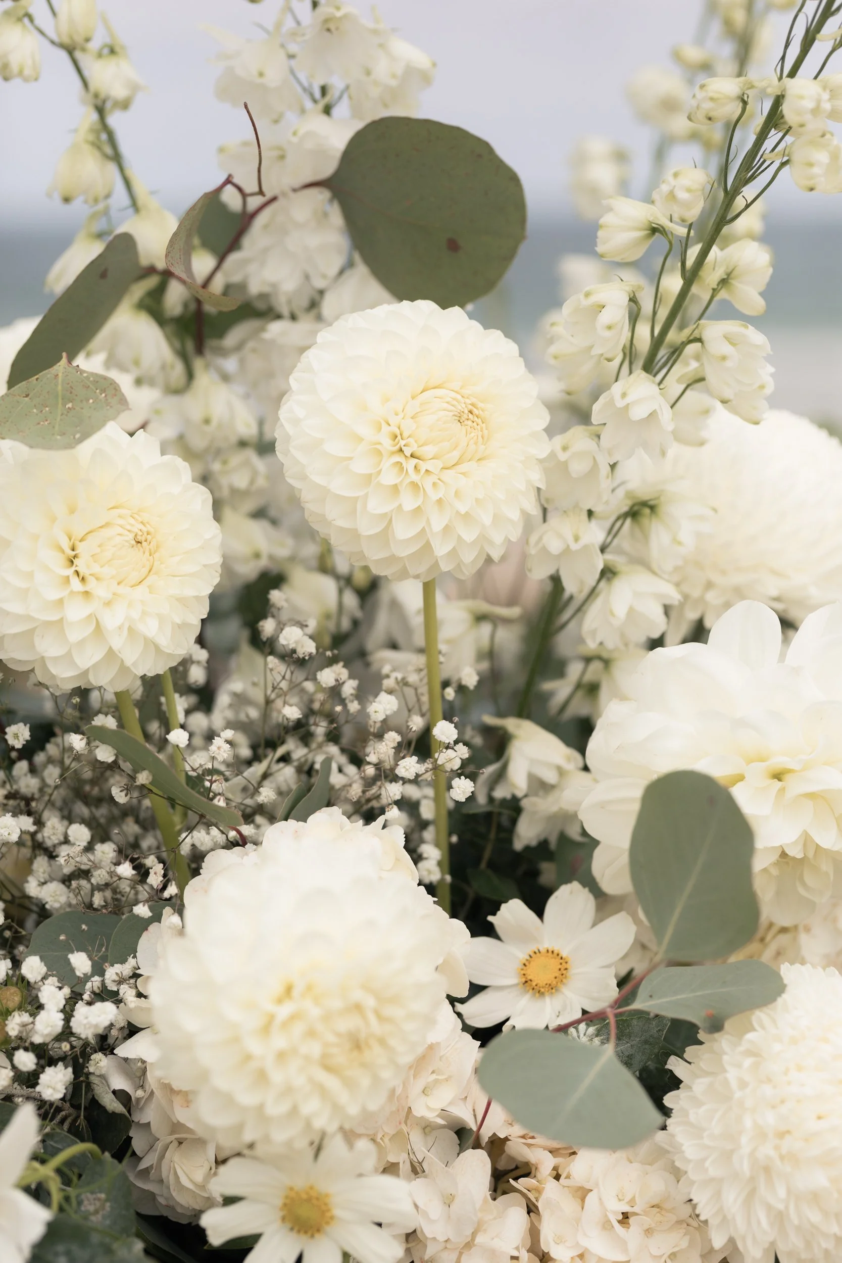 Alice and Sam smiling together in a sunlit vineyard, excited for their upcoming wedding at Basils Farm on the Bellarine Peninsula.