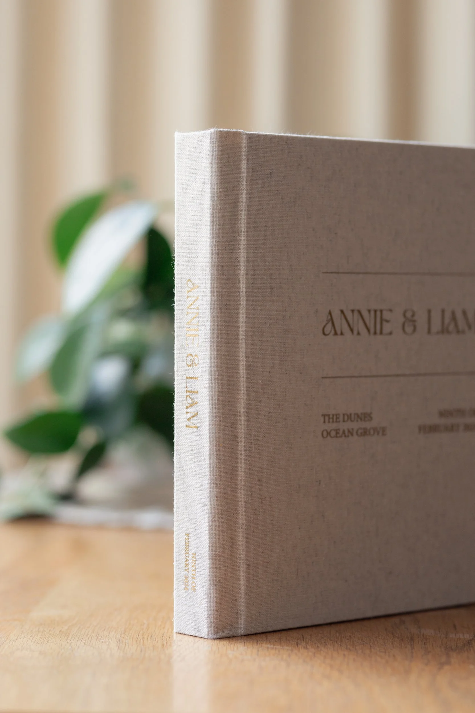 Fine_Art_Wedding_Album_TLWP (10 of 22).jpg