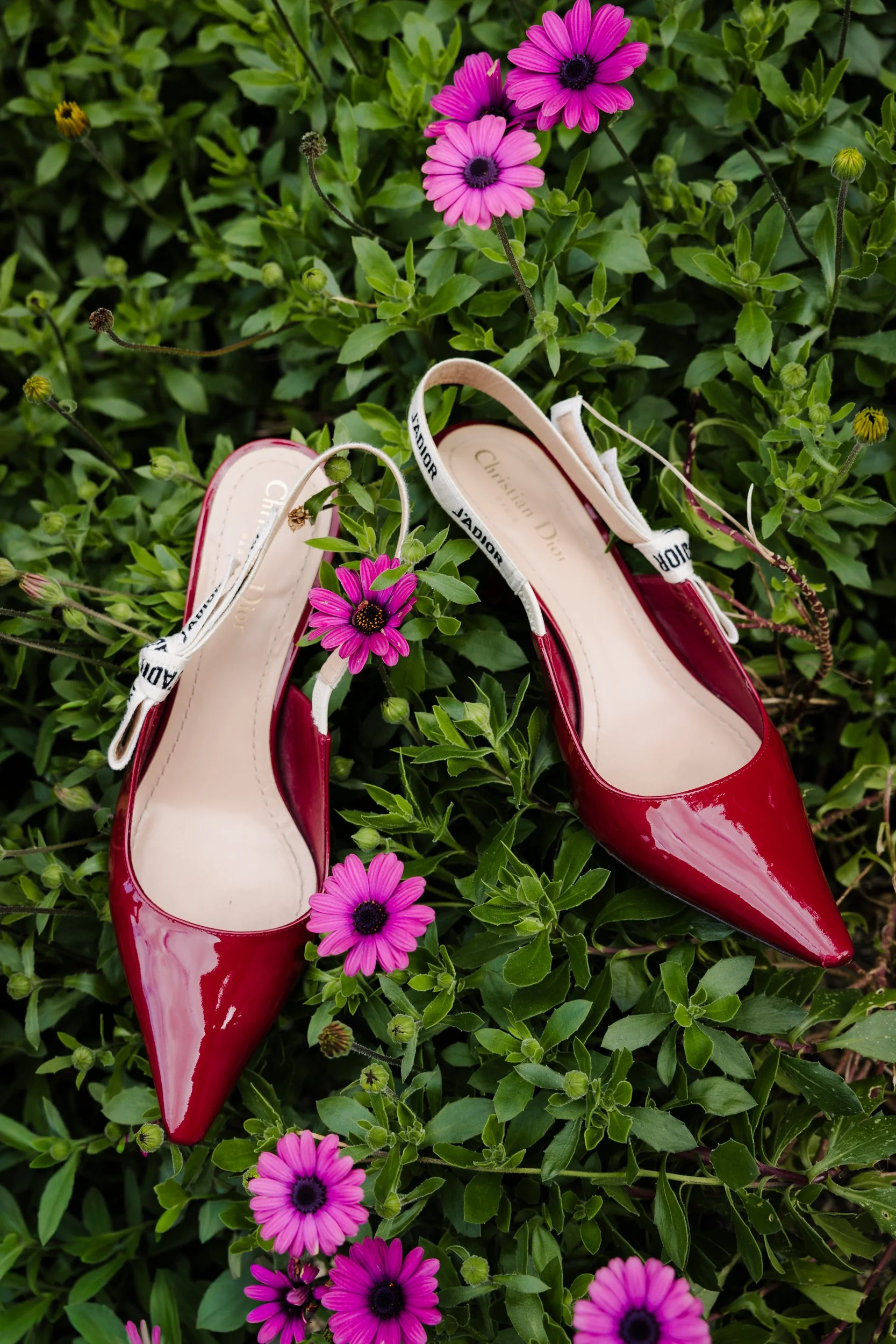 A pair of Dior red high-heeled shoes with white and black laser slip-on straps, lying among pink and purple flowers and green foliage on a wedding day. 