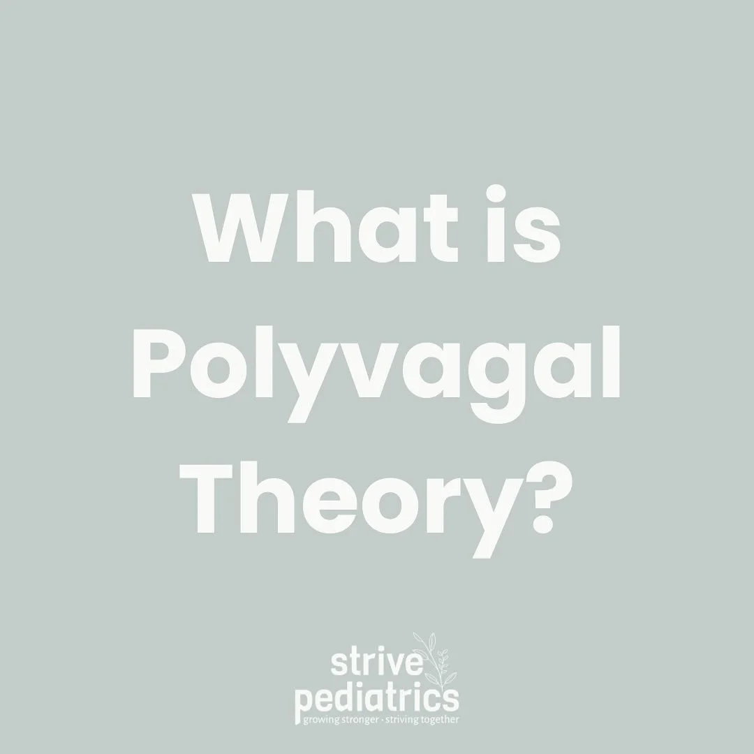 Understanding the Polyvagal Theory: Your Child&rsquo;s Nervous System in Action 

Ever notice how your child sometimes feels calm and connected&hellip; then suddenly becomes fussy, anxious, or shuts down? 

That&rsquo;s their nervous system shifting 