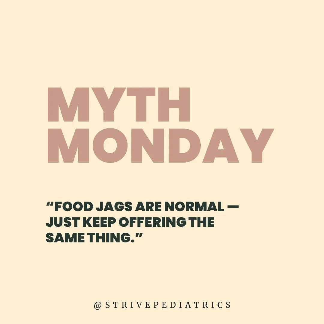 Myth: &ldquo;Food jags are normal &mdash; just keep offering the same thing.&rdquo;

Truth: Sticking to the same safe foods actually accelerates picky eating. Little ones get stuck in a sensory + motor rut.

Food Jag= What is a food jag? A 'food jag'