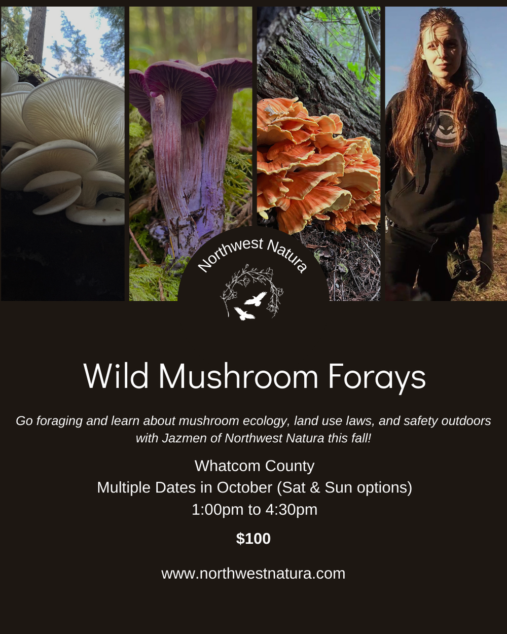 Mushroom Forays.webp