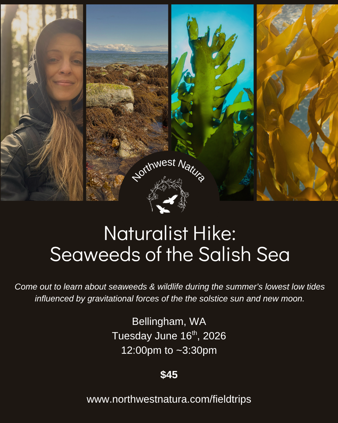 Naturalist Hike Seaweeds (2).png