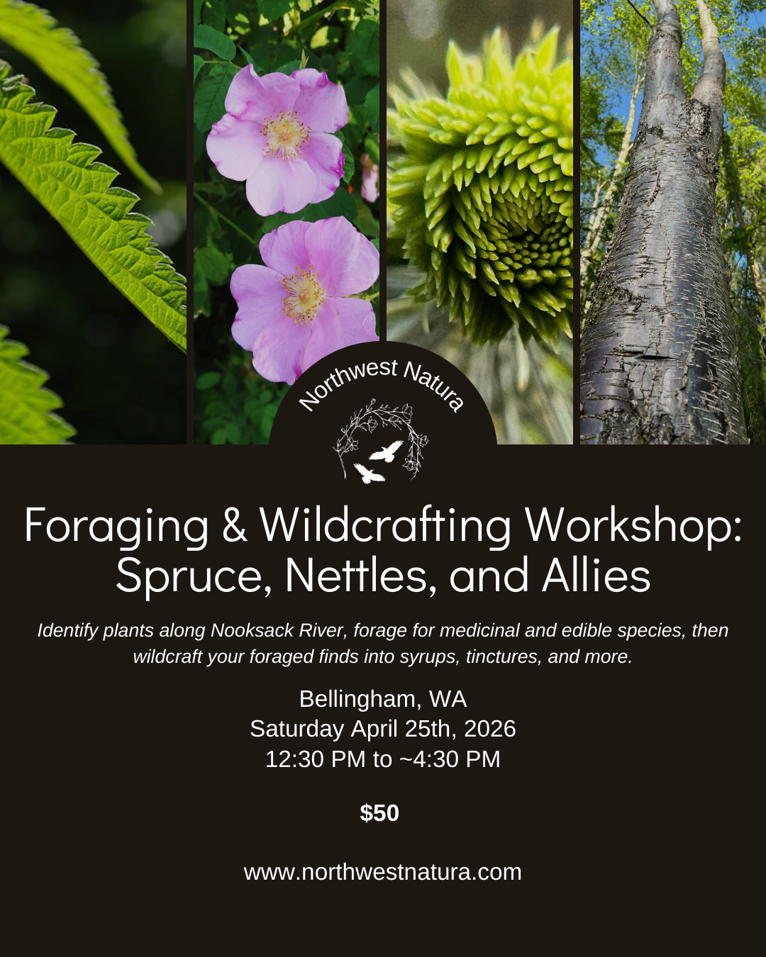 Riverside Foraging.png