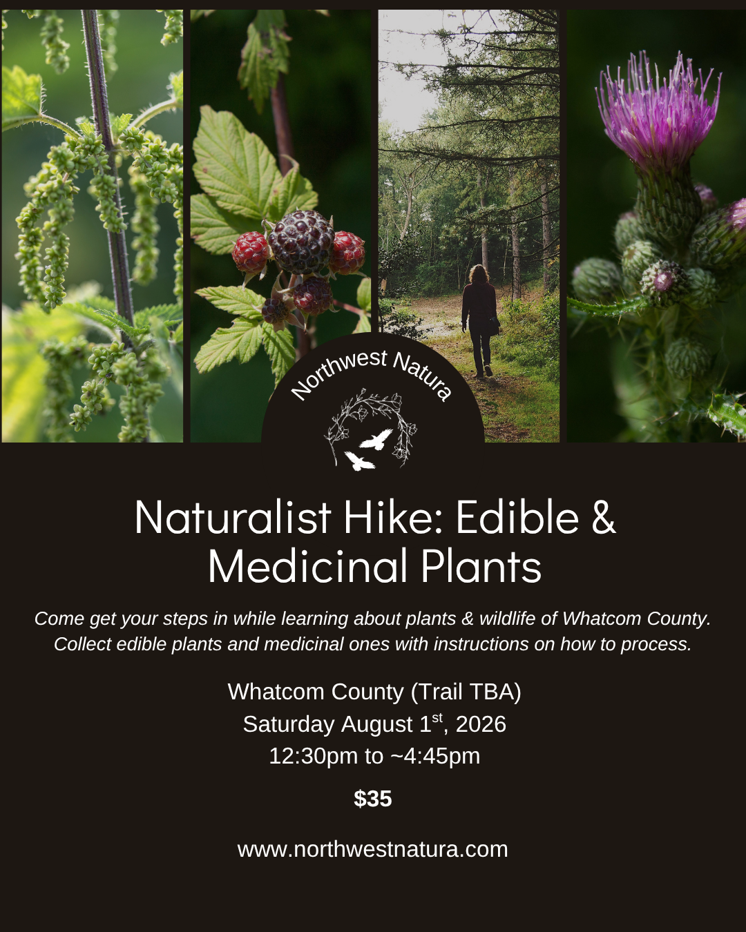 Naturalist Hike Edible and Medicinal Plants.png