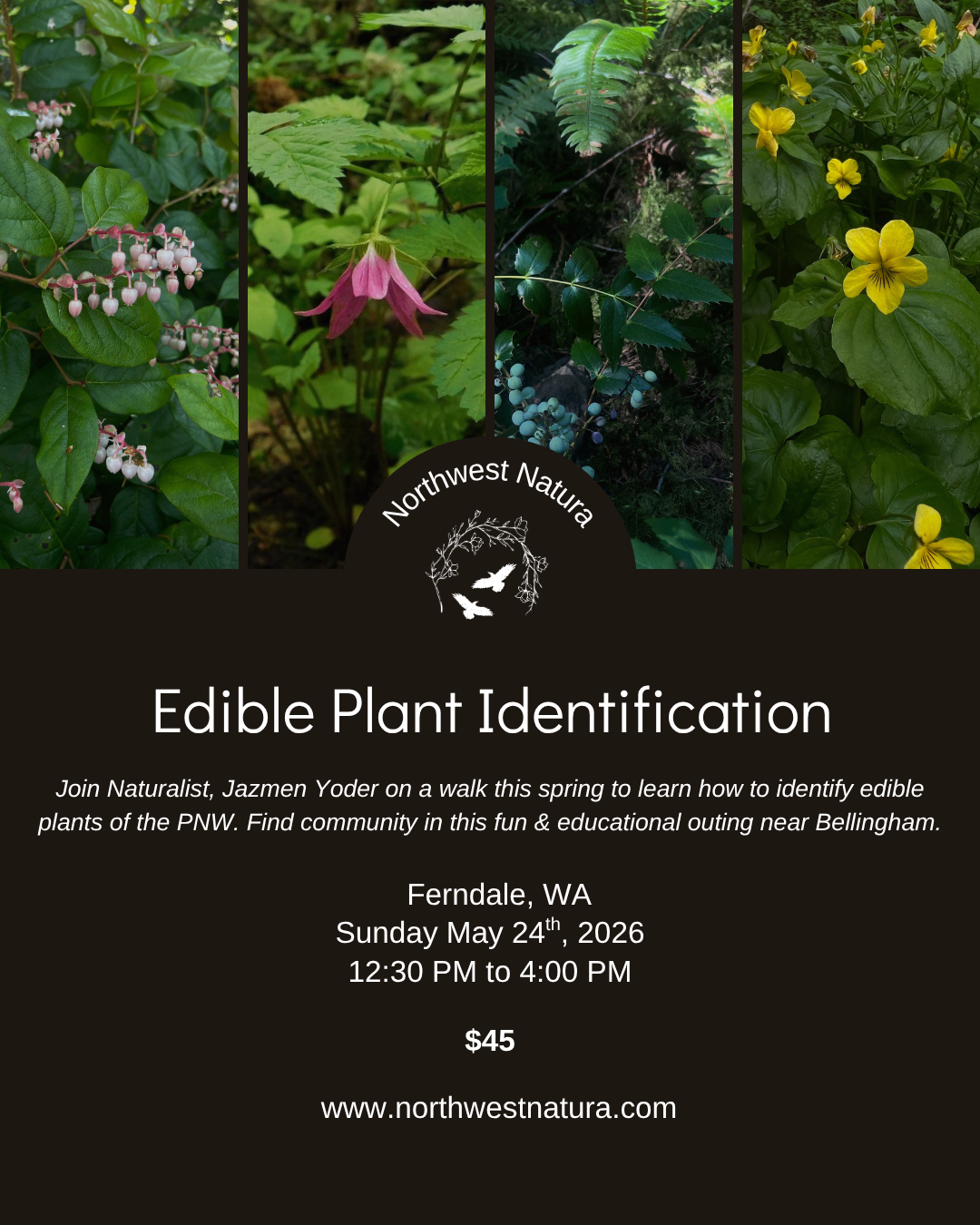 Edible Plant ID Walk (3).png