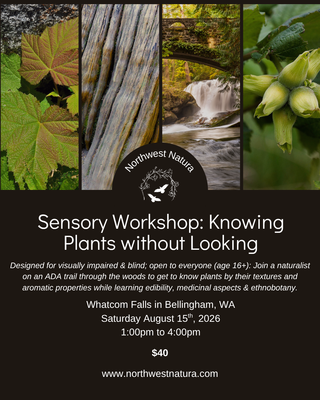 Sensory Botany.png