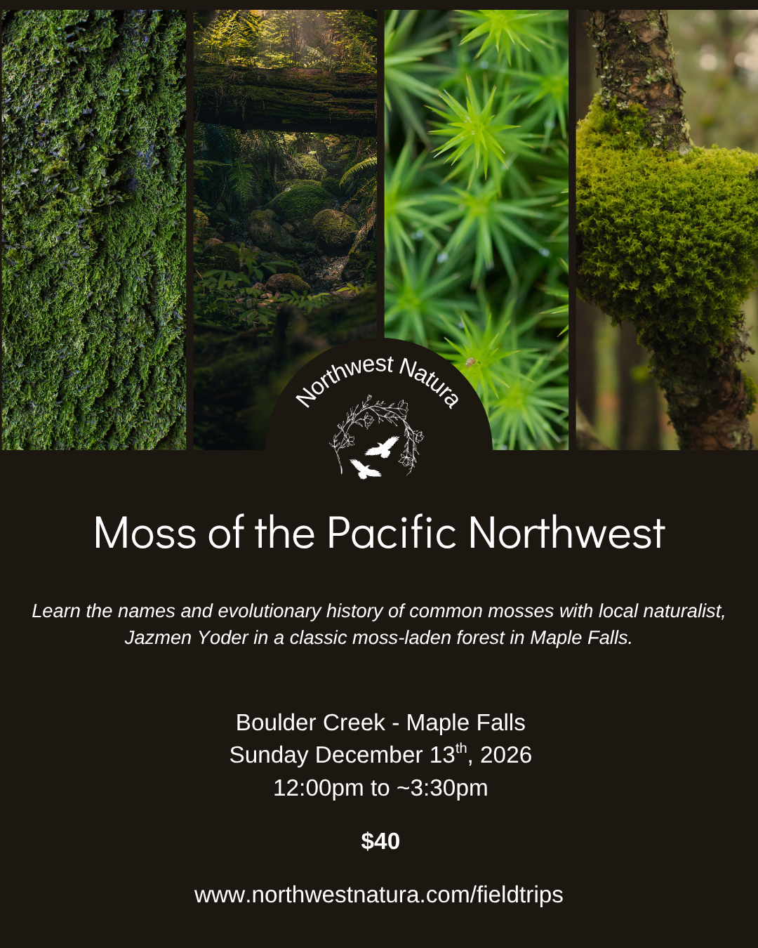 Moss of the PNW (2).png
