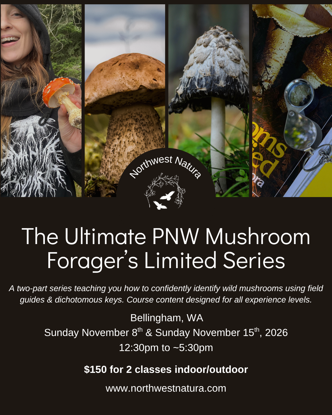 PNW Mushroom ID & Foragers Limited Series